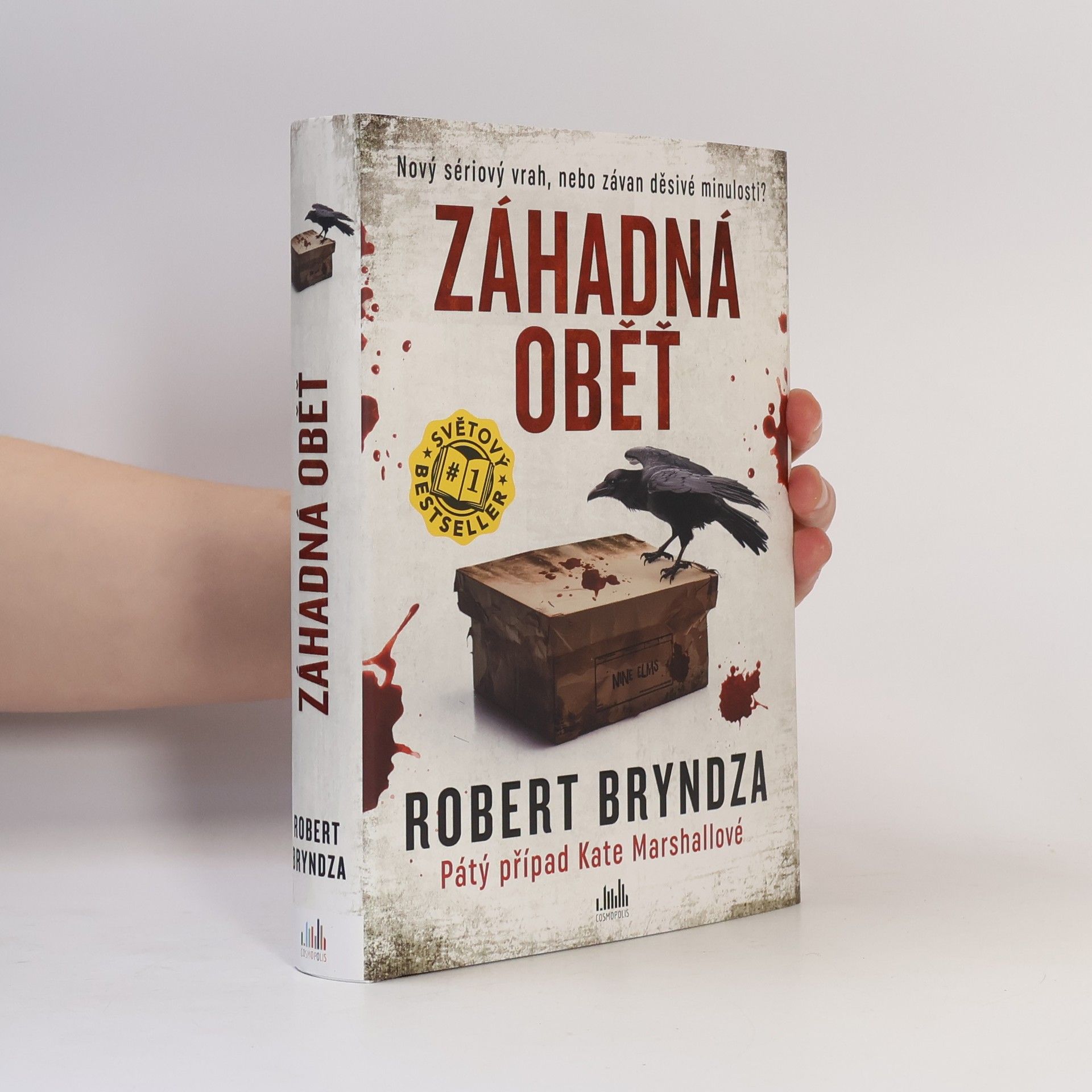 Robert Bryndza Záhadná oběť