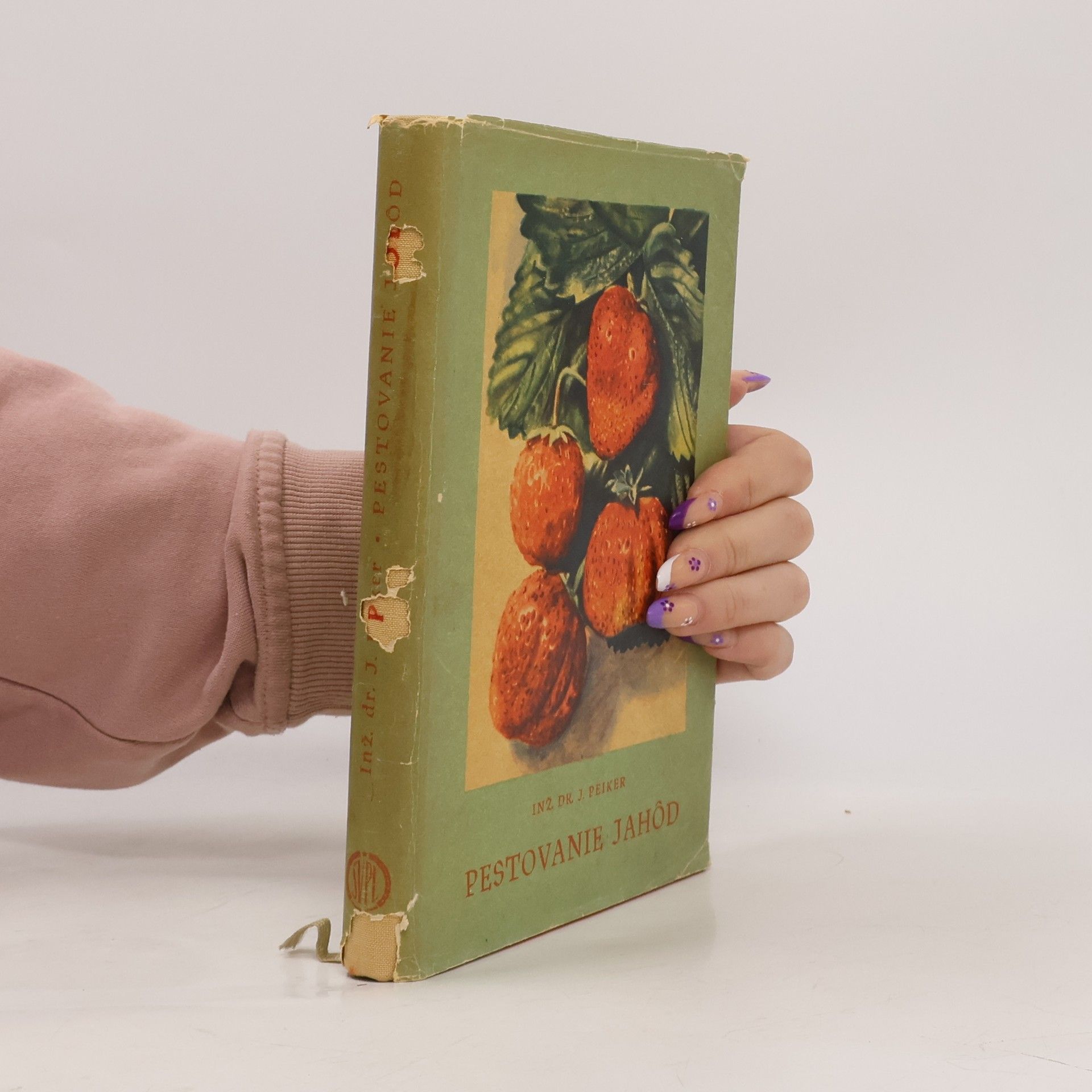 J. Peiker Pestovanie jahôd