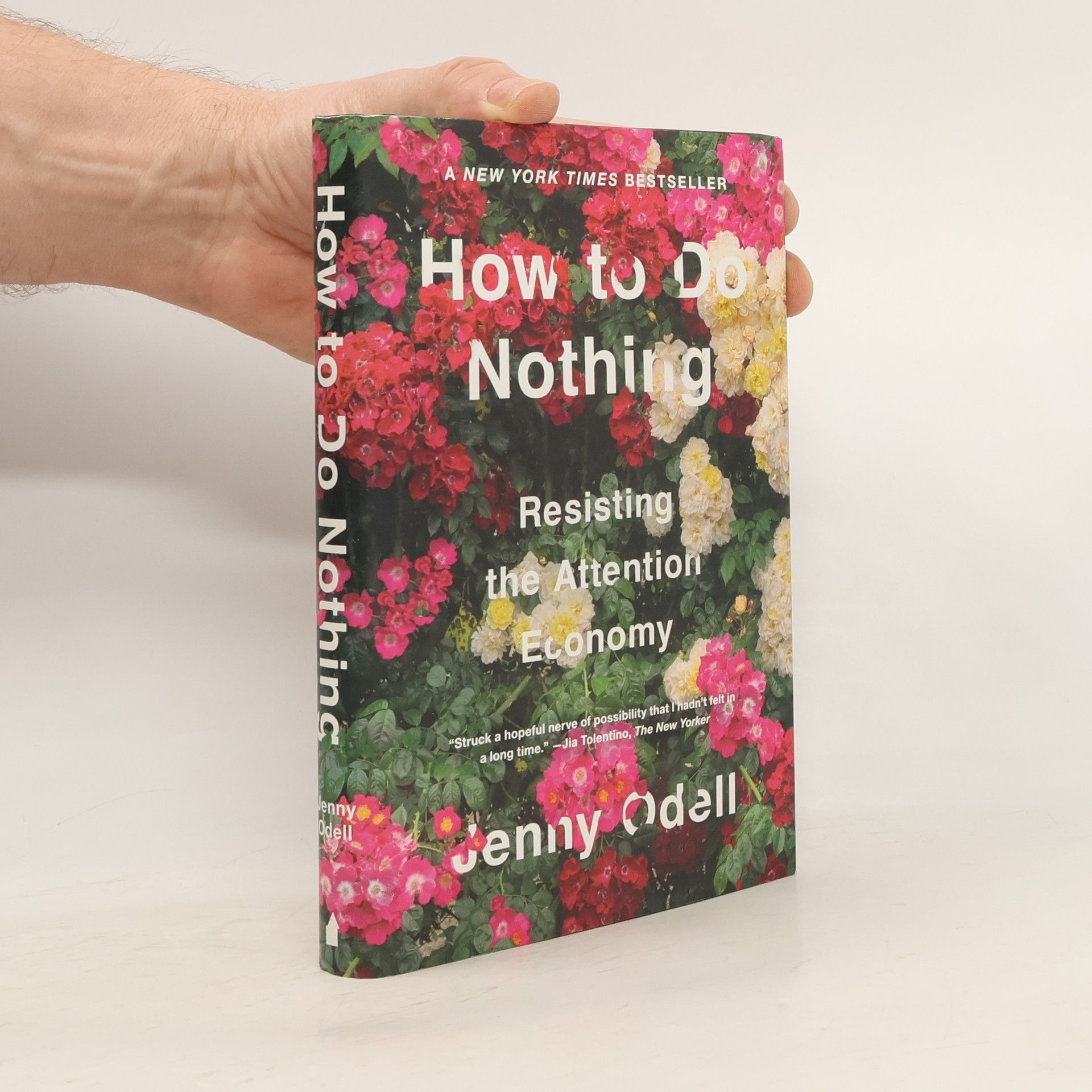 Jenny Odell How to Do Nothing