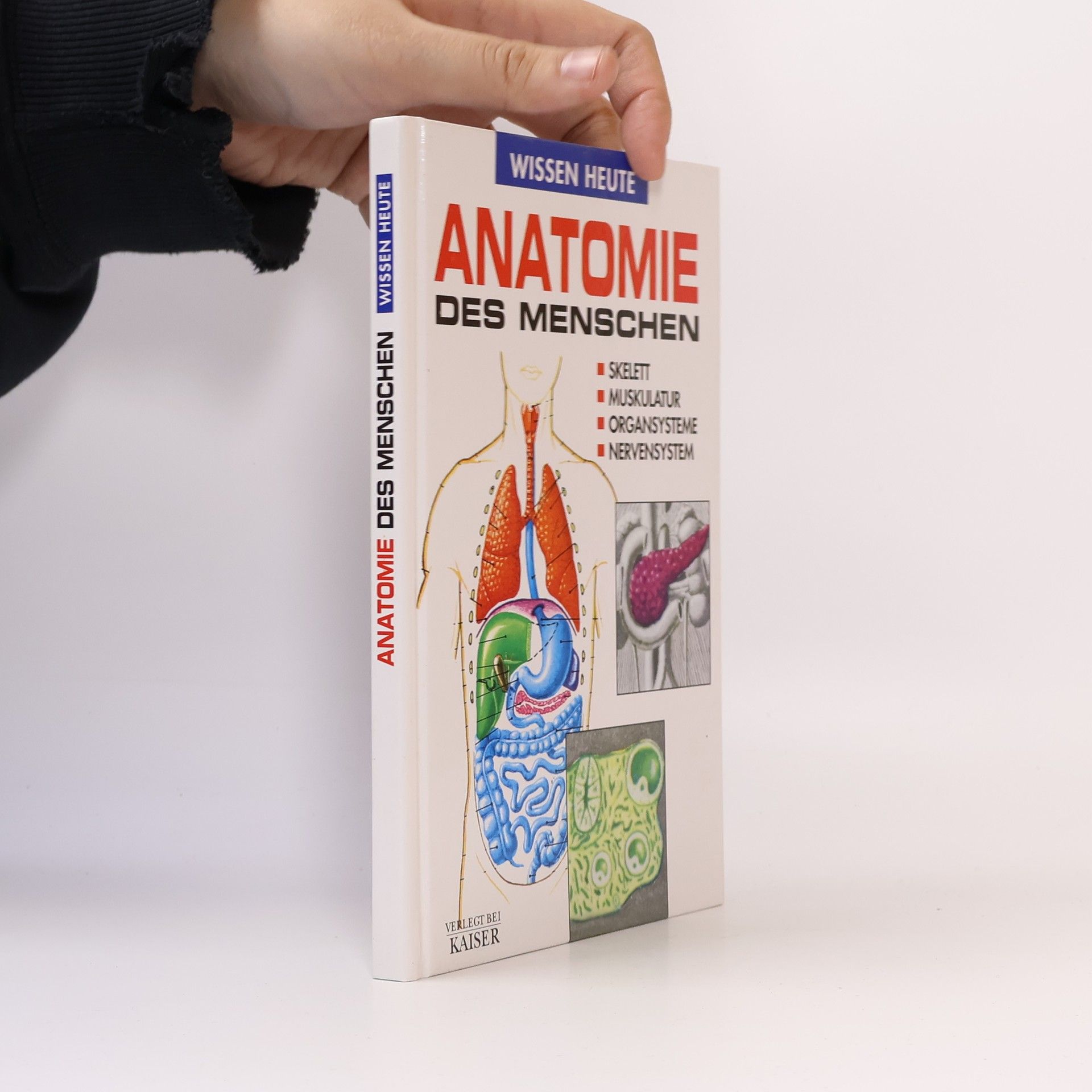 Kolektiv autorů Anatomie des menschen