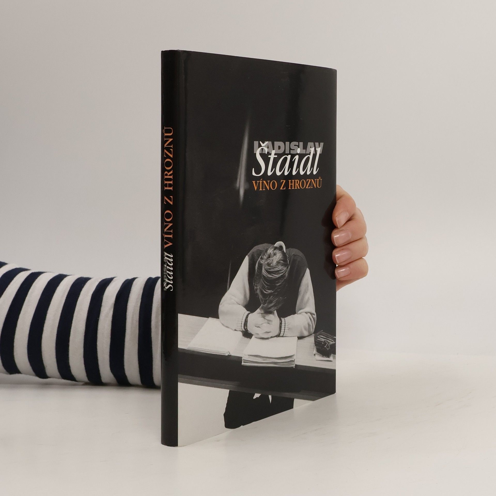 Ladislav Štaidl Víno z hroznů