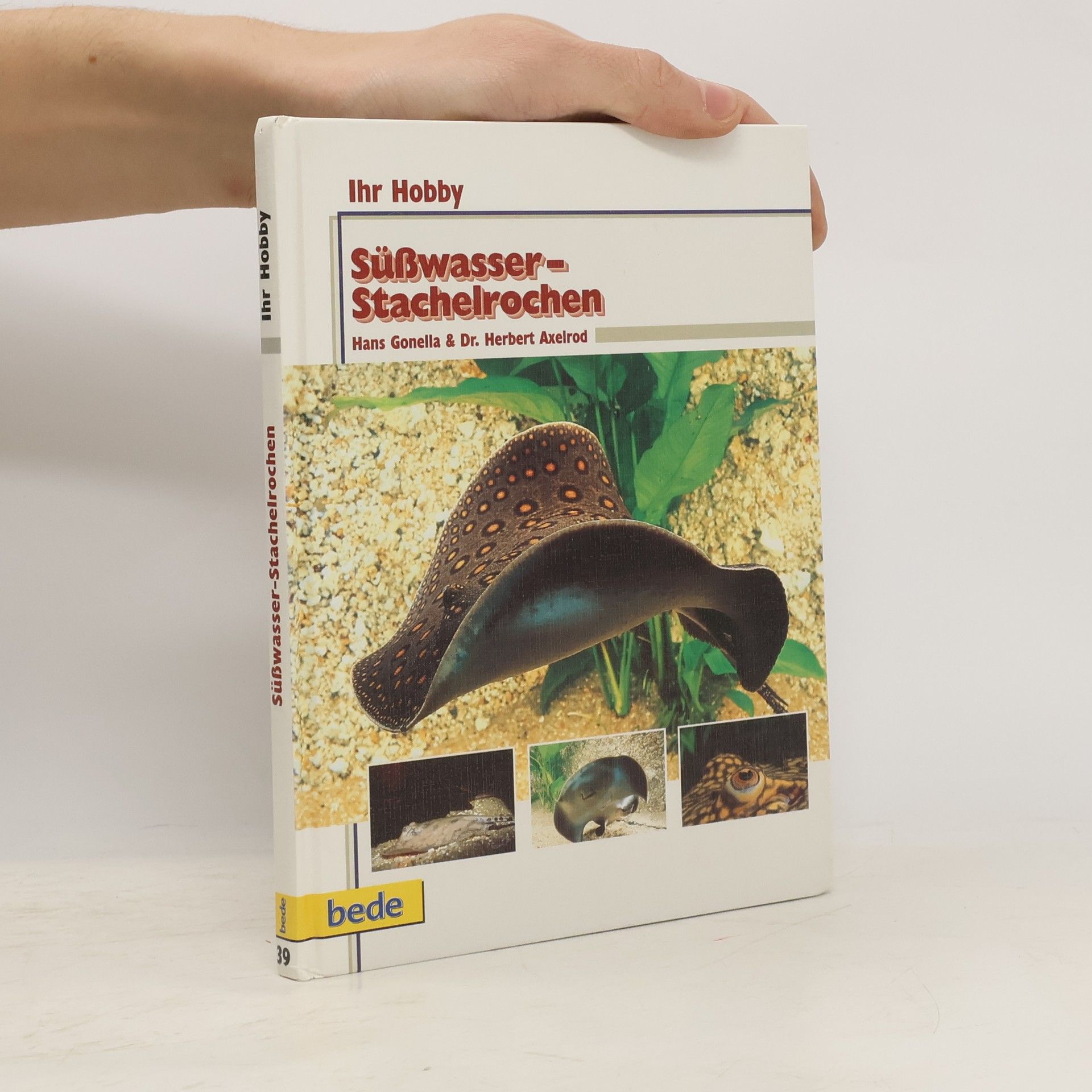 Hans Gonella Süßwasser-Stachelrochen