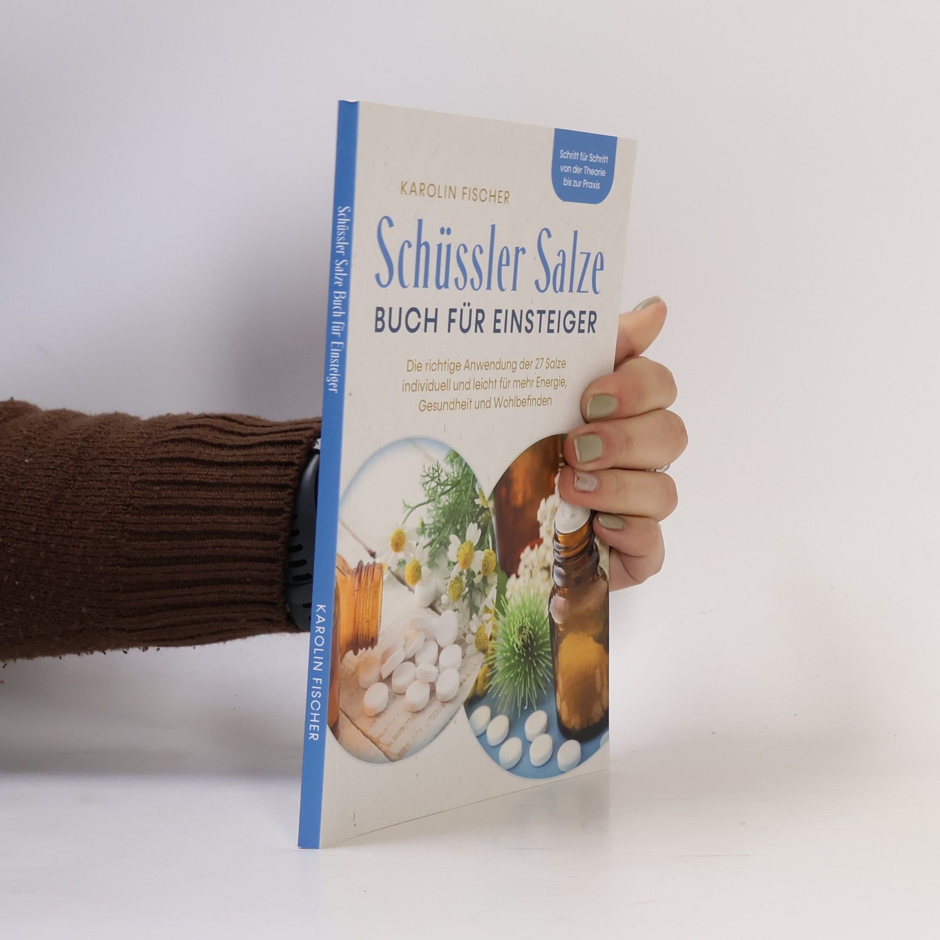 Karolin Fischer Schüssler Salze Buch für Einsteiger: Die richtige Anwendung der 27 Salze individuell und leicht für mehr Energie, Gesundheit und Wohlbefinden - Schritt für Schritt von der Theorie bis zur Praxis