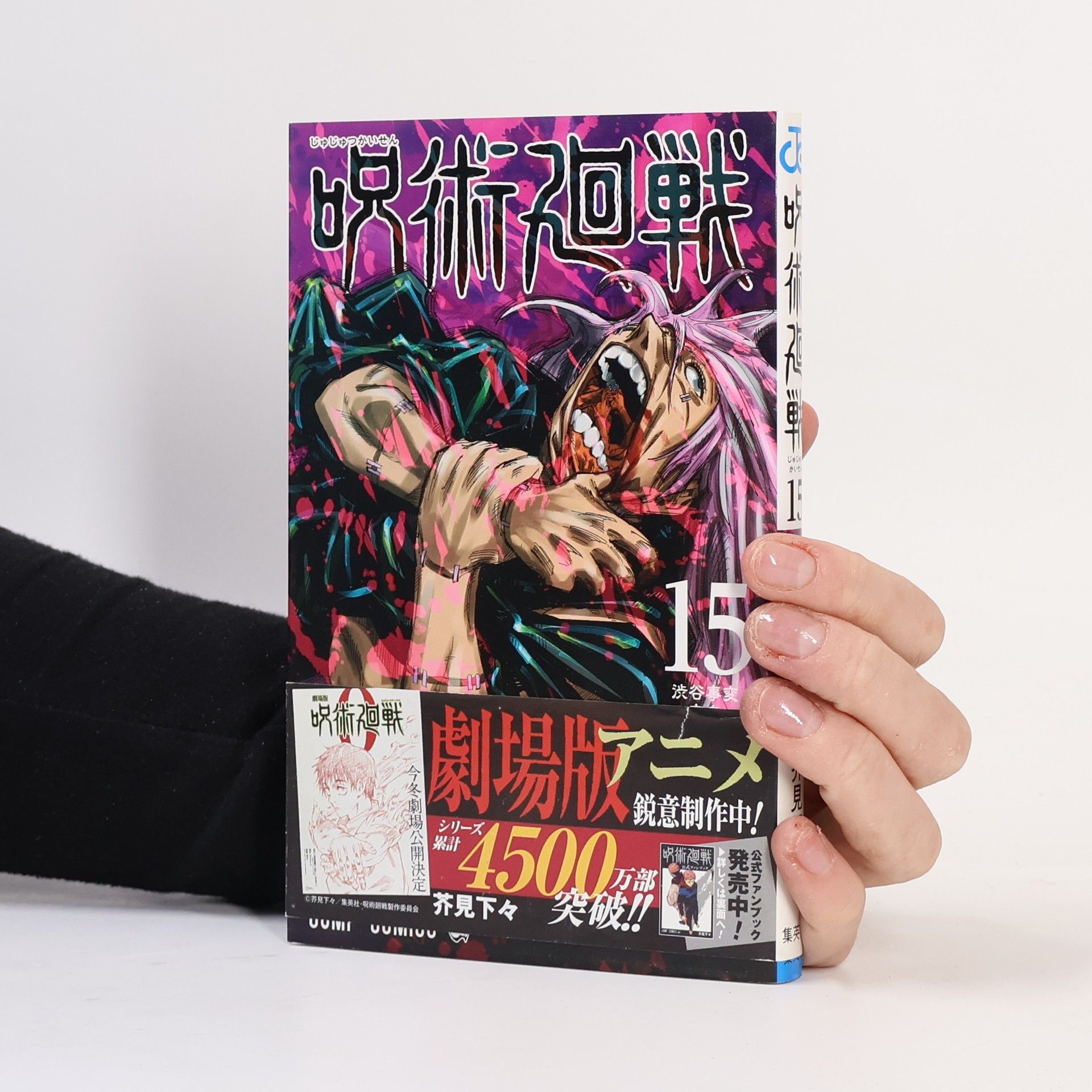 Gege Akutami 呪術廻戦 15