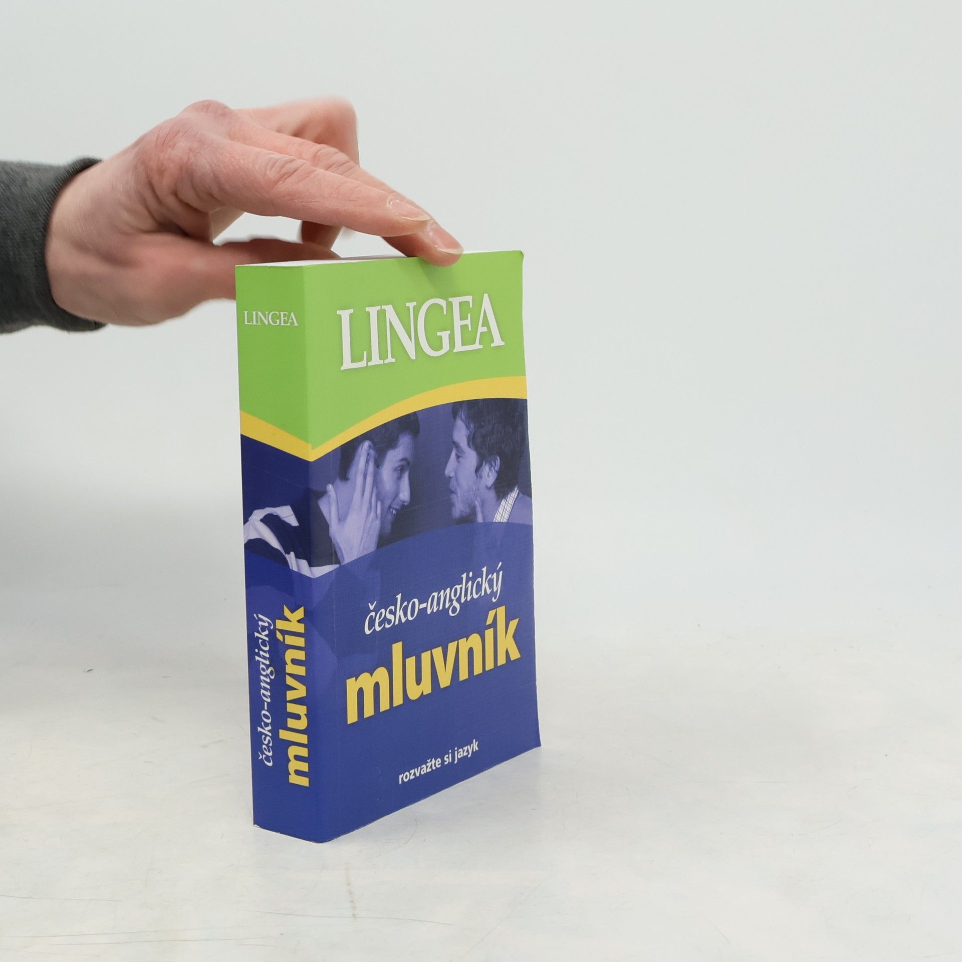 Kolektiv autorů Česko-anglický mluvník