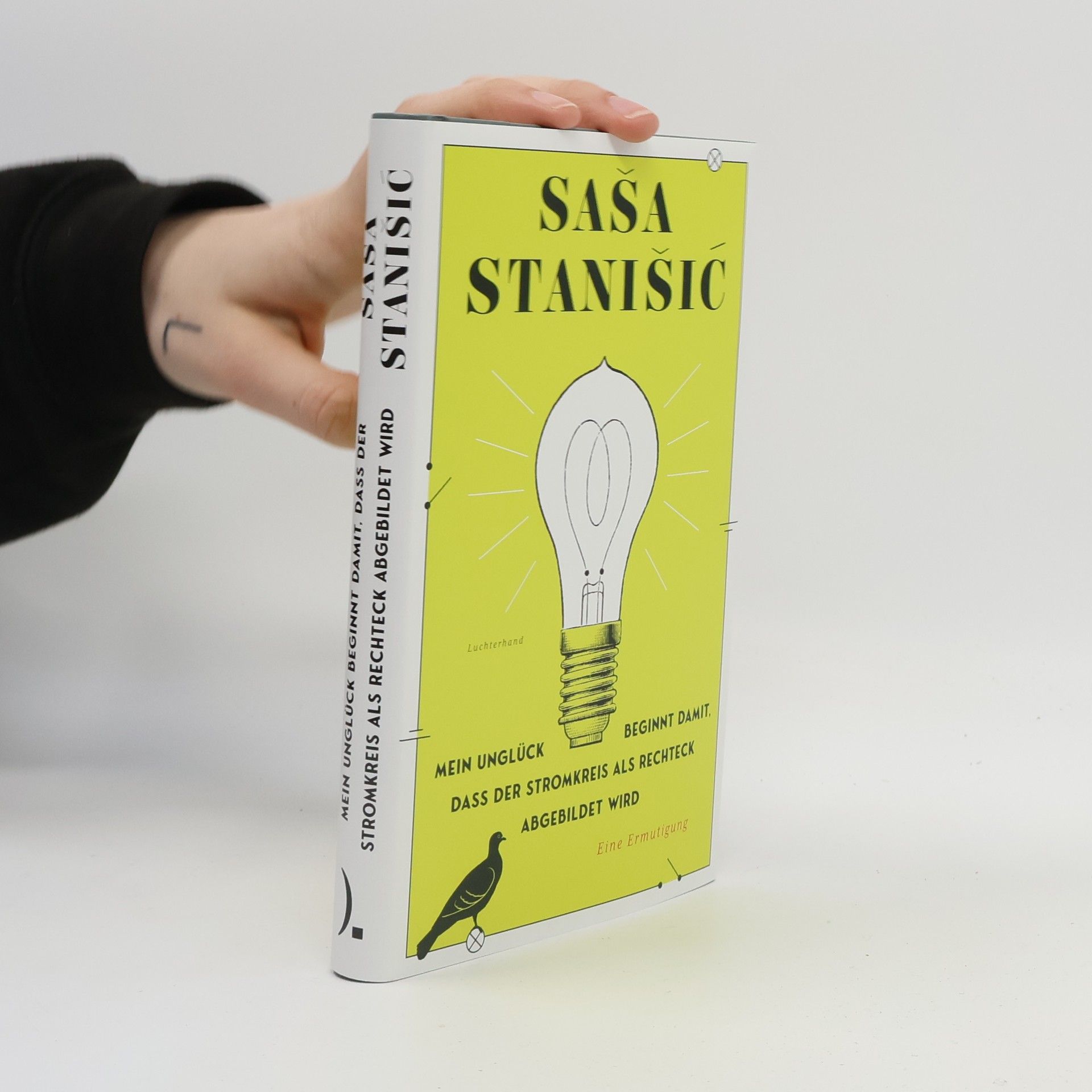 Saša Stanišič Mein Unglück beginnt damit, dass der Stromkreis als Rechteck abgebildet wird