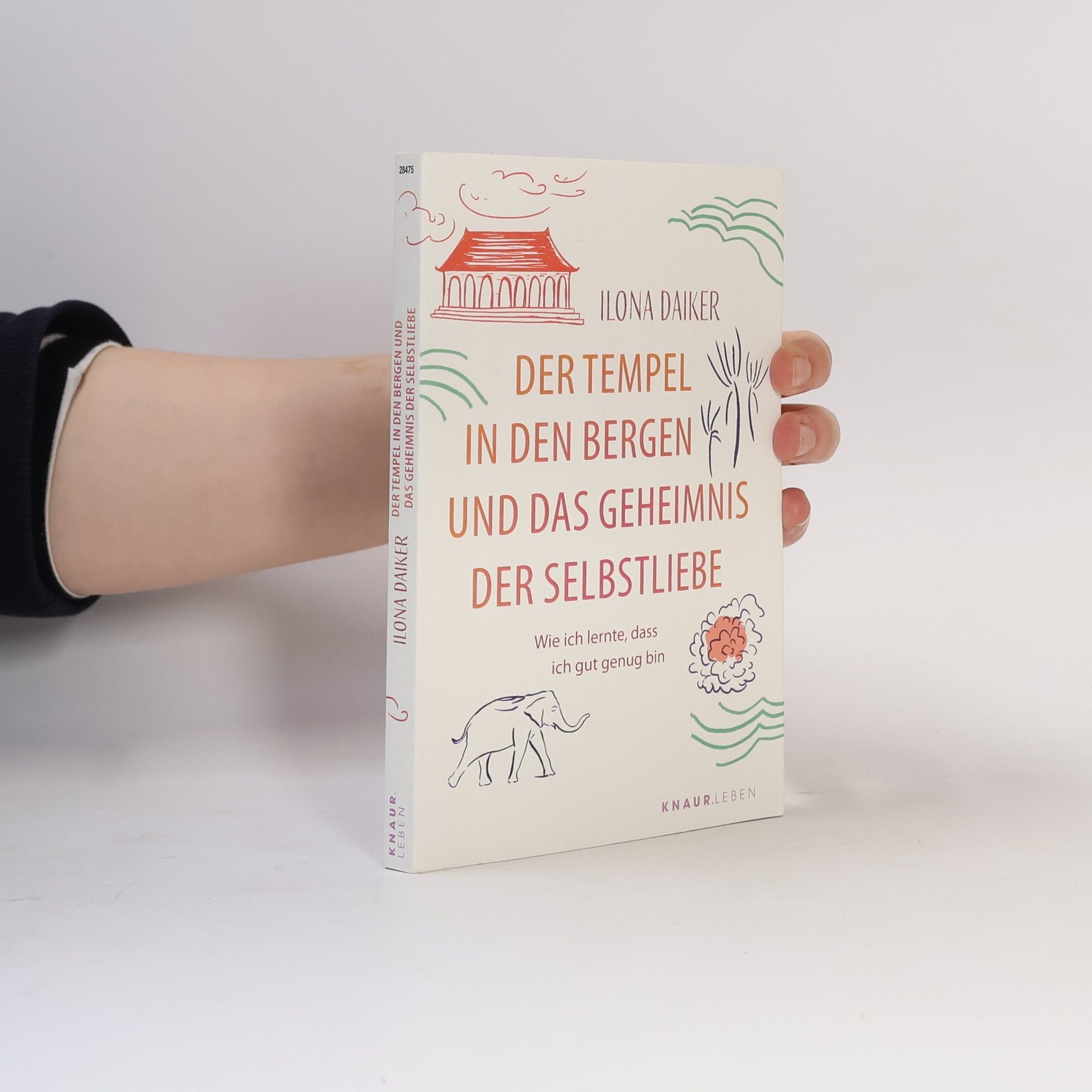 Ilona Daiker Der Tempel in den Bergen und das Geheimnis der Selbstliebe