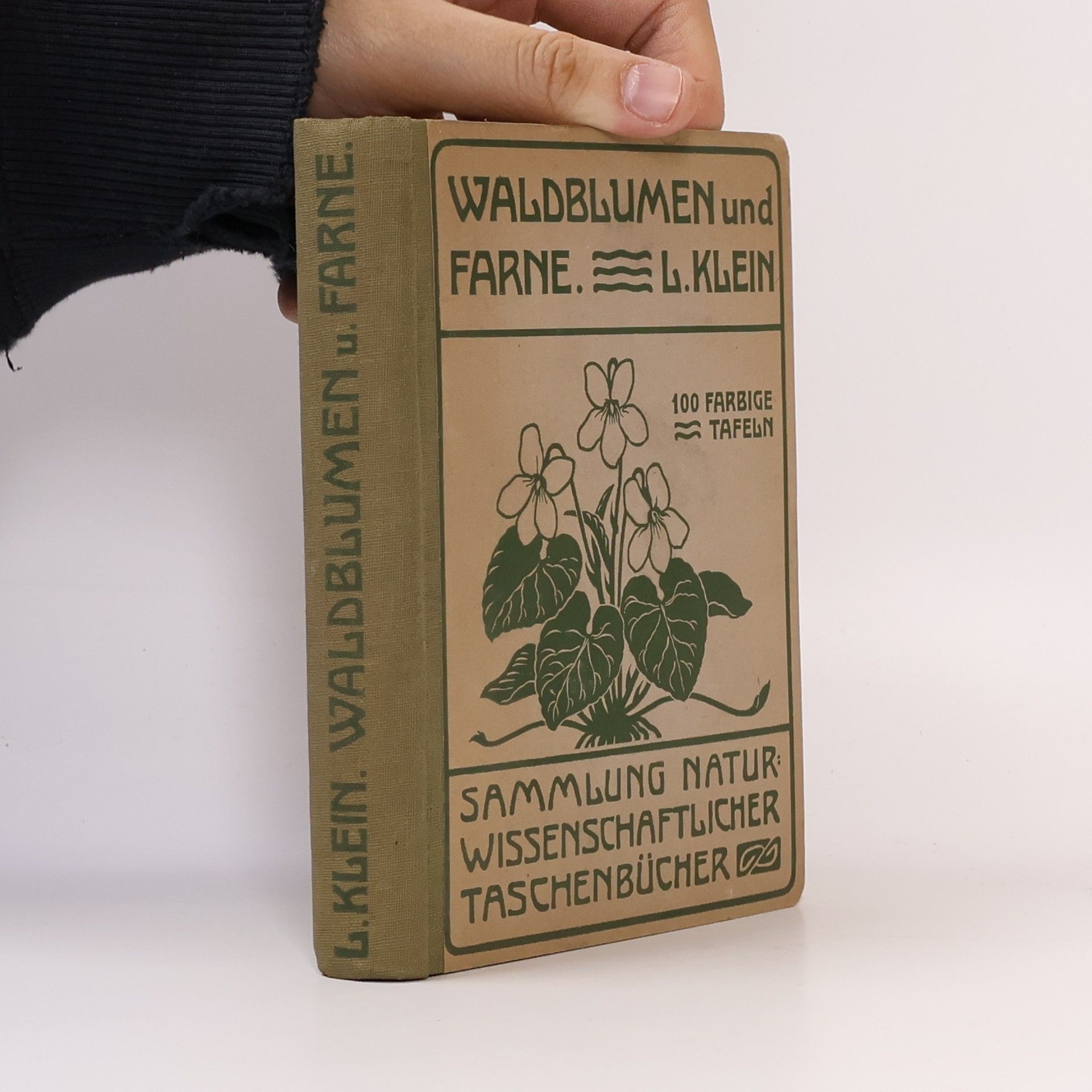 Ludwig Klein Unfere Waldblumen und Farnewächte