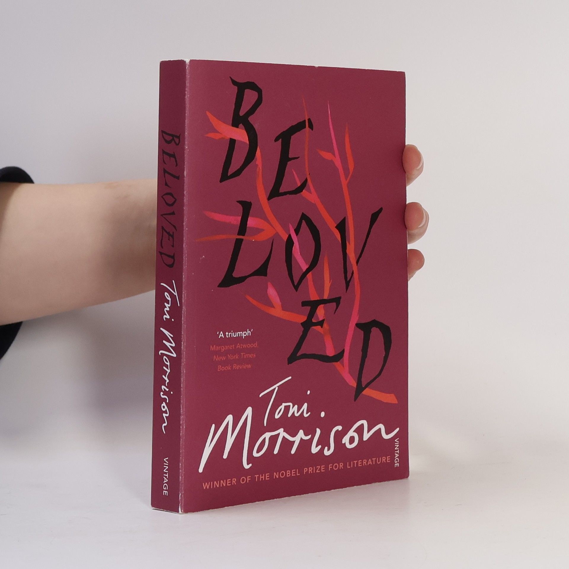 Toni Morrison Beloved