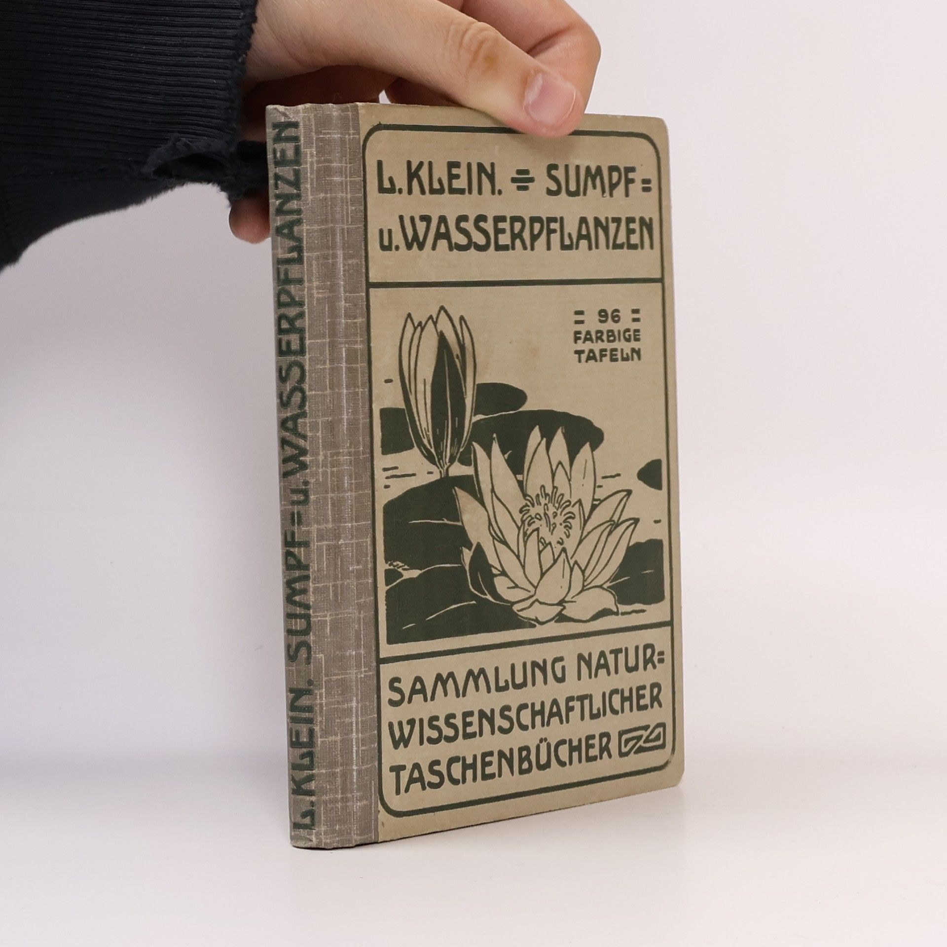 Sumpf und Wasserpflanzen