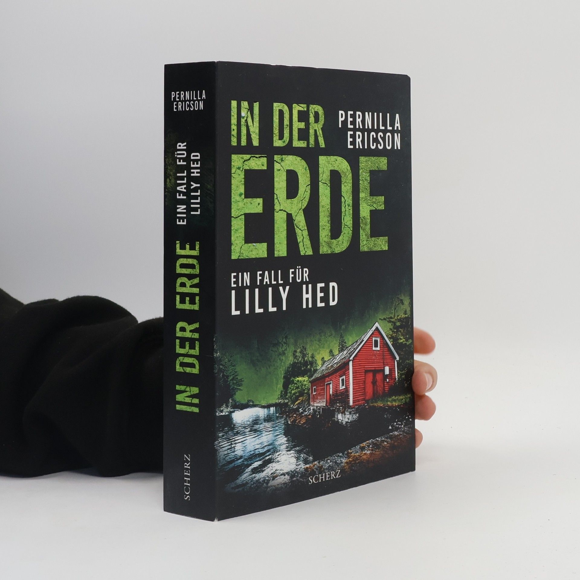 Pernilla Ericson In der Erde / Lilly Hed Bd.3