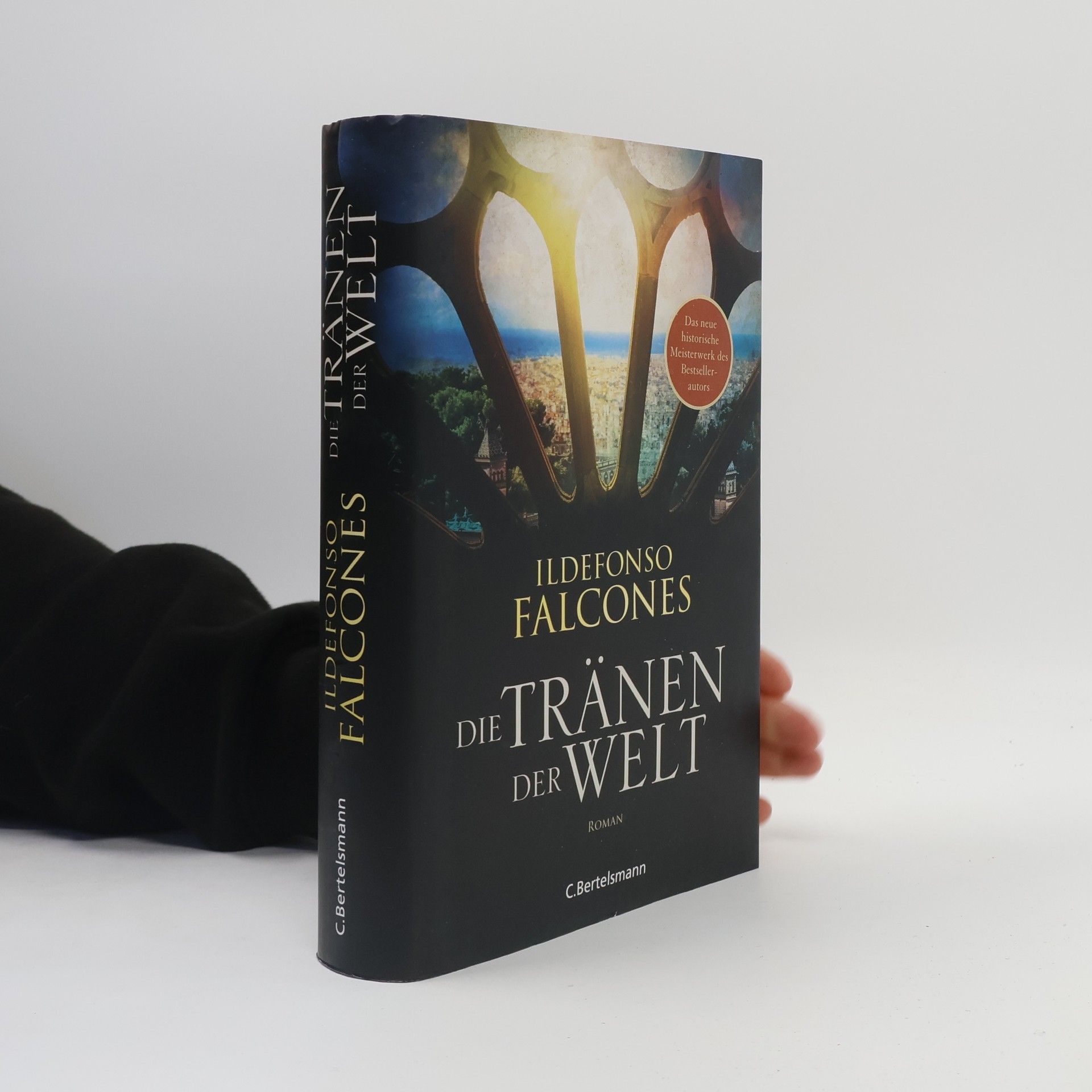 Ildefonso Falcones Die Tränen der Welt