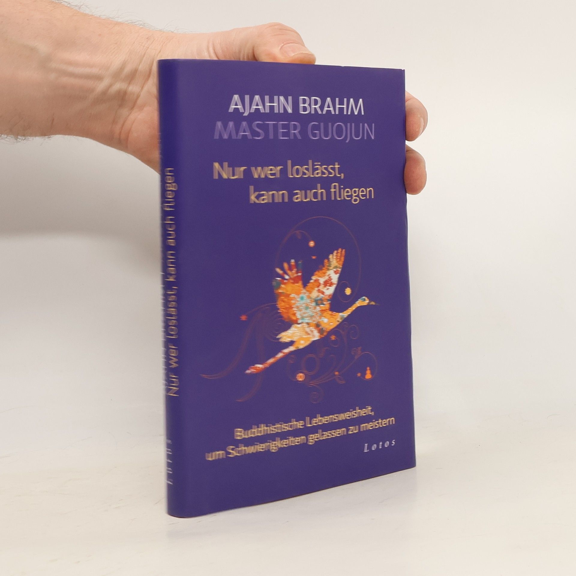 Master Guojun Nur wer loslässt, kann auch fliegen