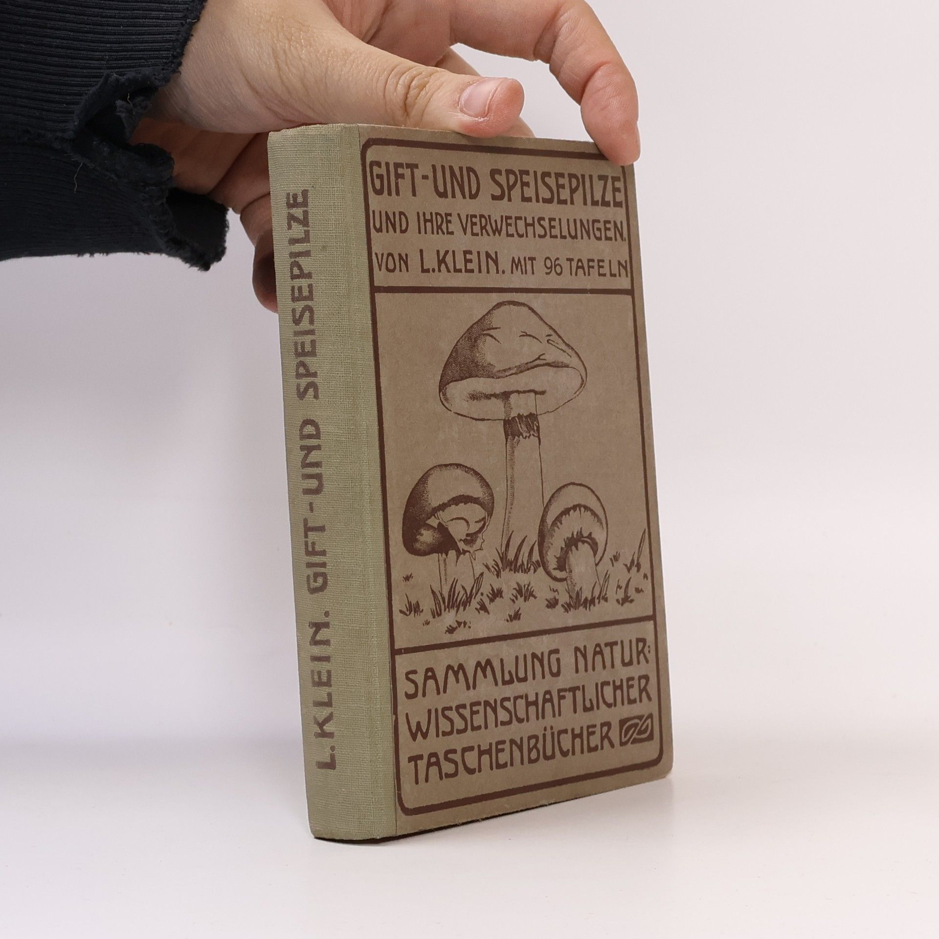 Ludwig Klein Gift- und Speisepilze und ihre Verwechslungen