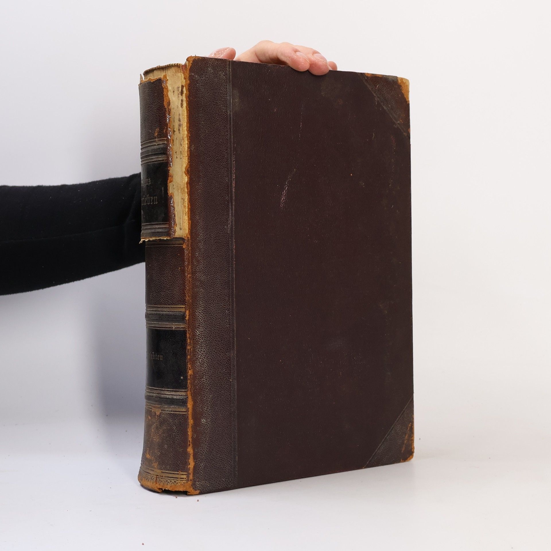 Ernst Ludwig Taschenberg Die Insekten, Tausendfüßler und Spinnen