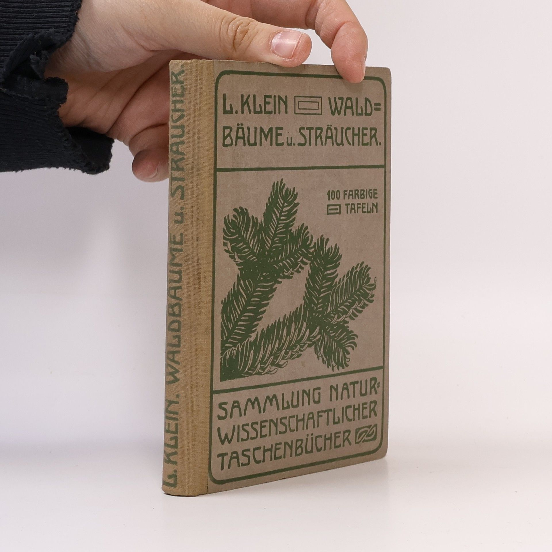 L. Klein Unsere Waldbäume, Sträucher und Zwergholzgewächse