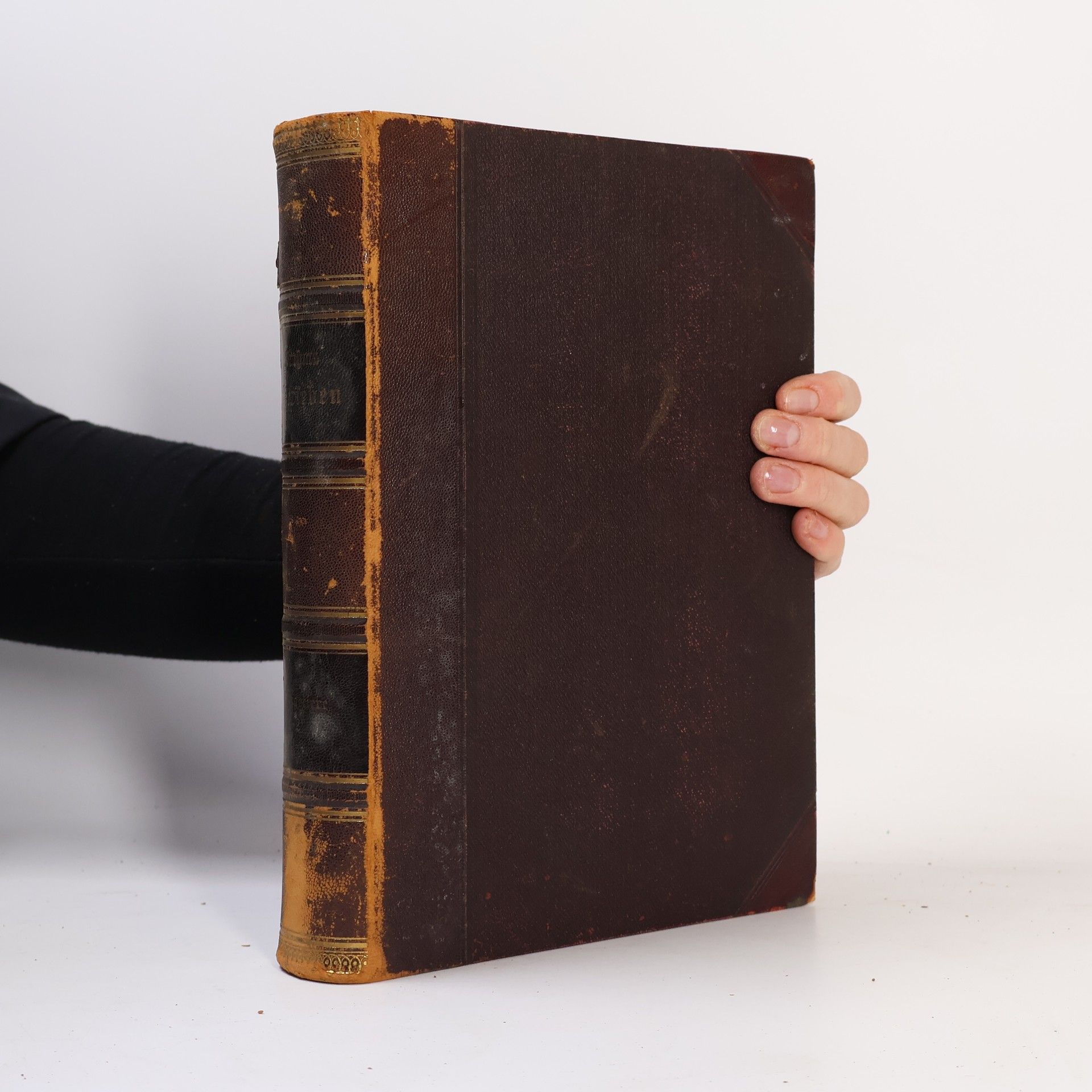 Alfred Edmund Brehm Die Säugetiere 2