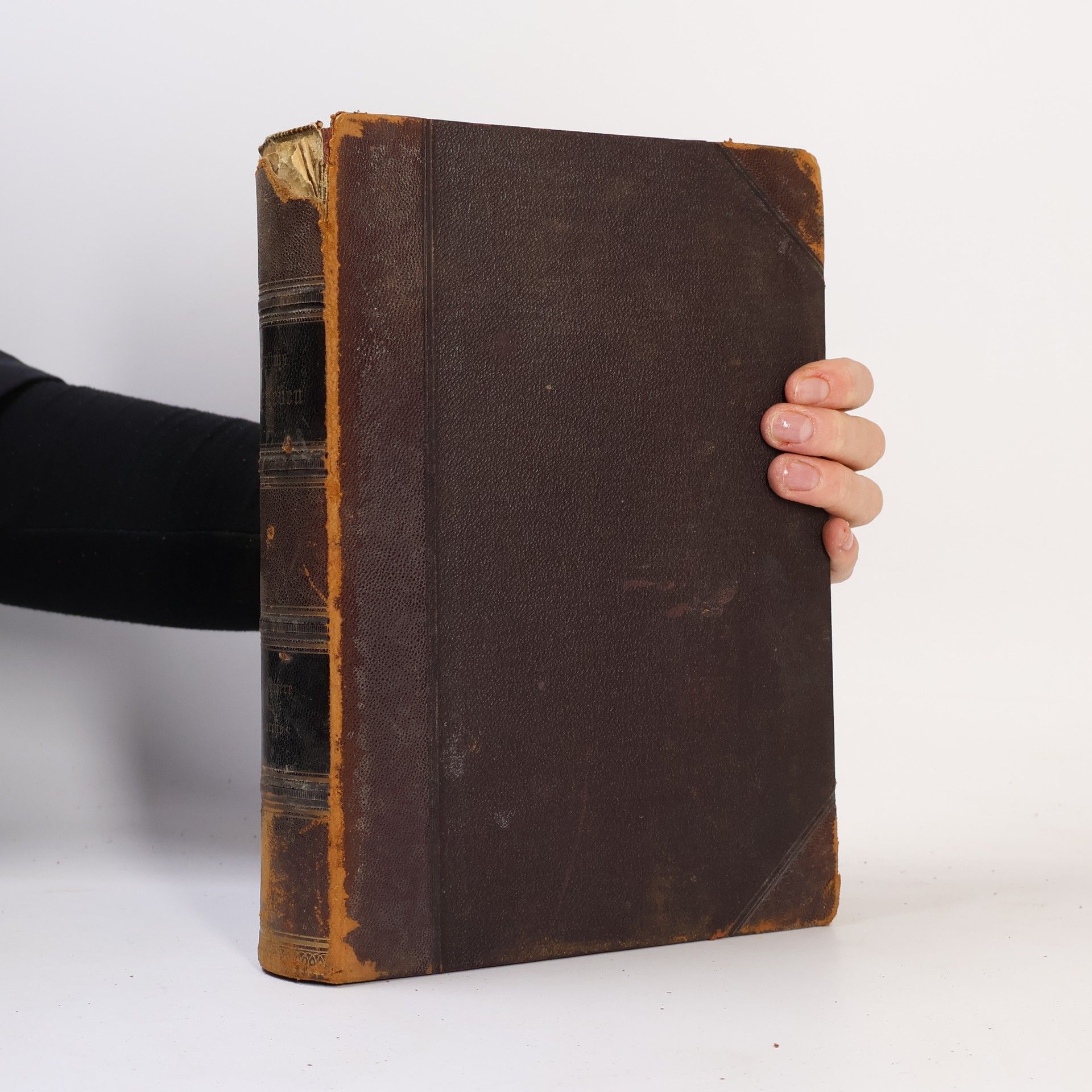 Alfred Edmund Brehm Die Kriechtiere und Lurche