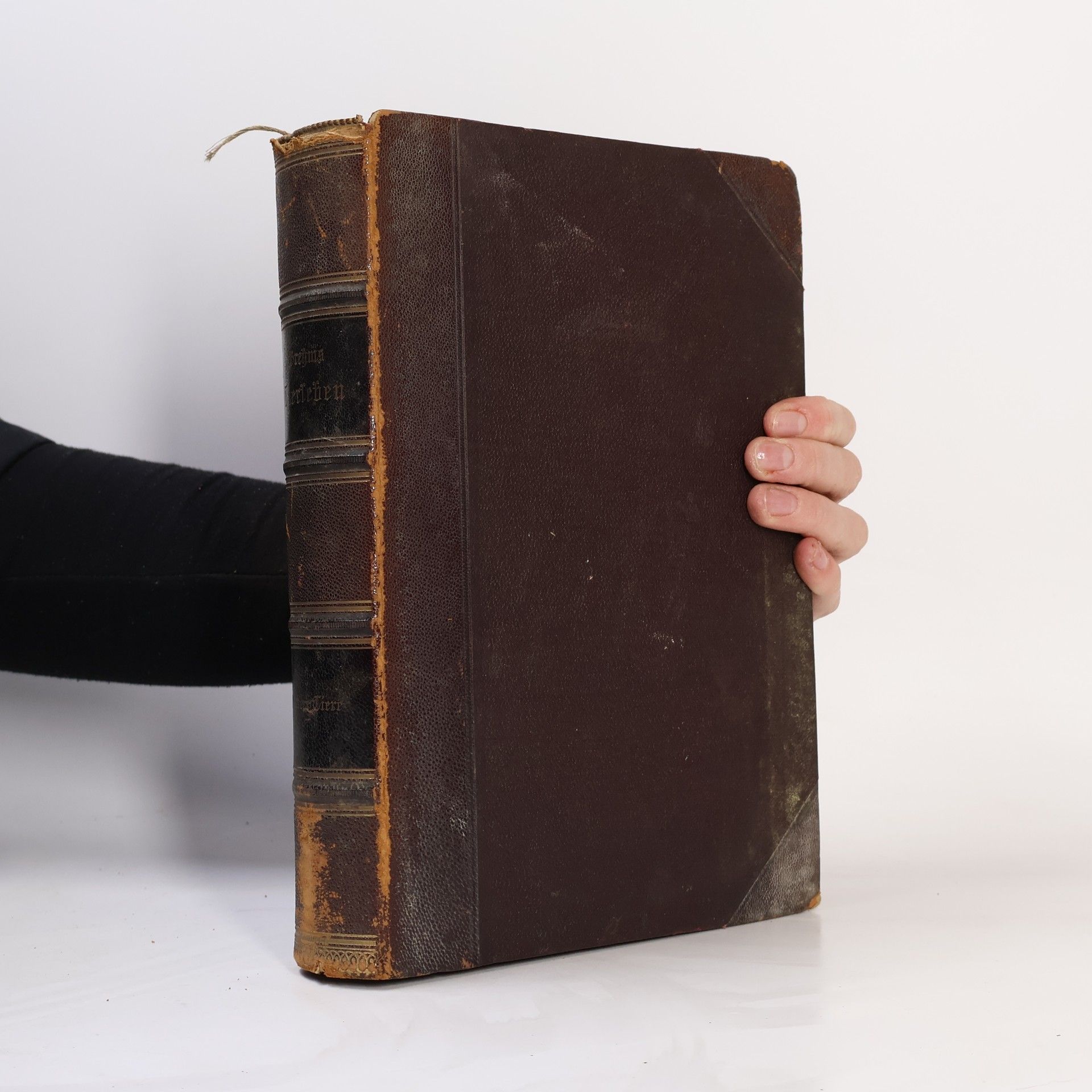 Oskar Schmidt Brehms Tierleben. Die Niederen Tiere