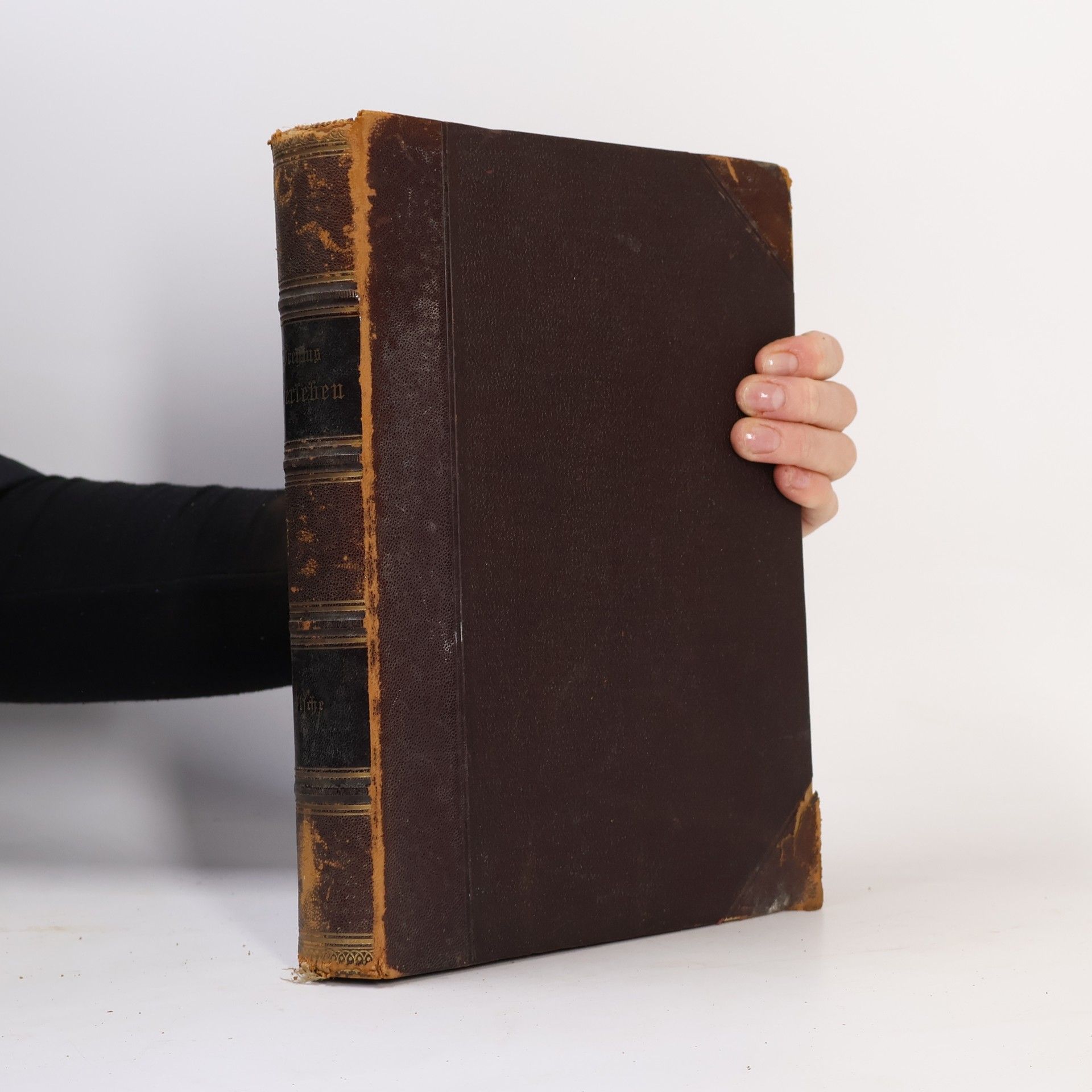 Alfred Edmund Brehm Die Fische