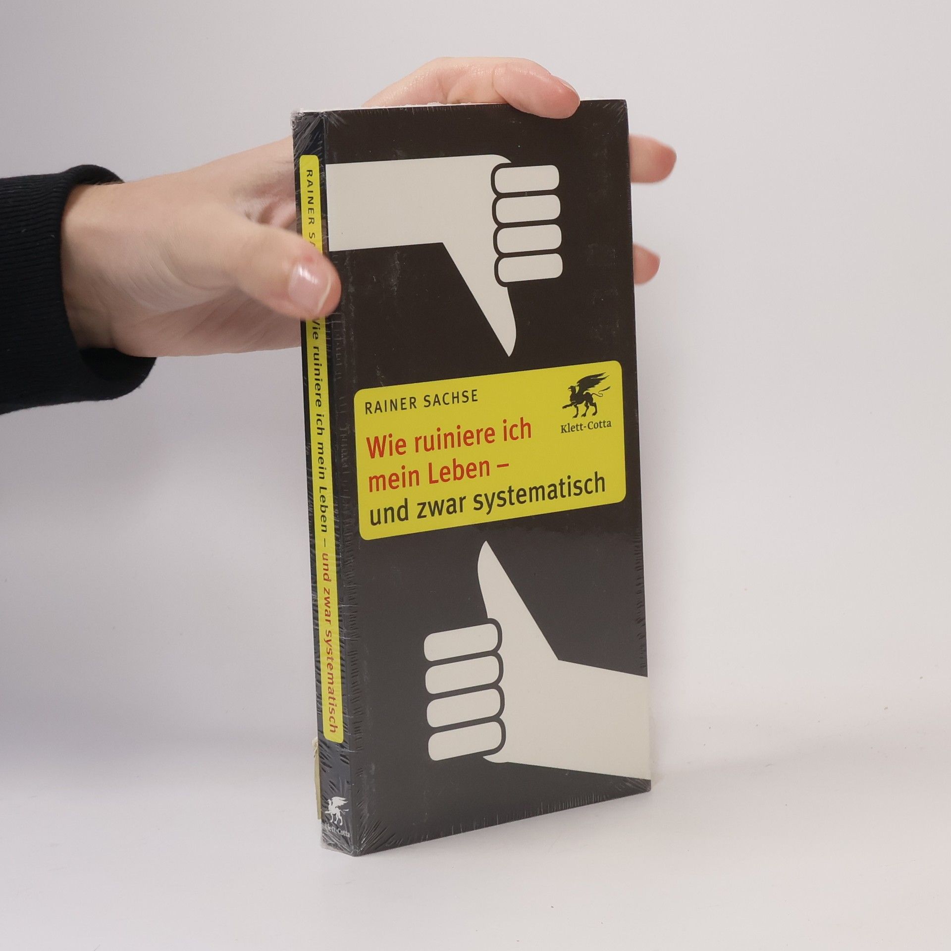 Rainer Sachse Wie ruiniere ich mein Leben - und zwar systematisch