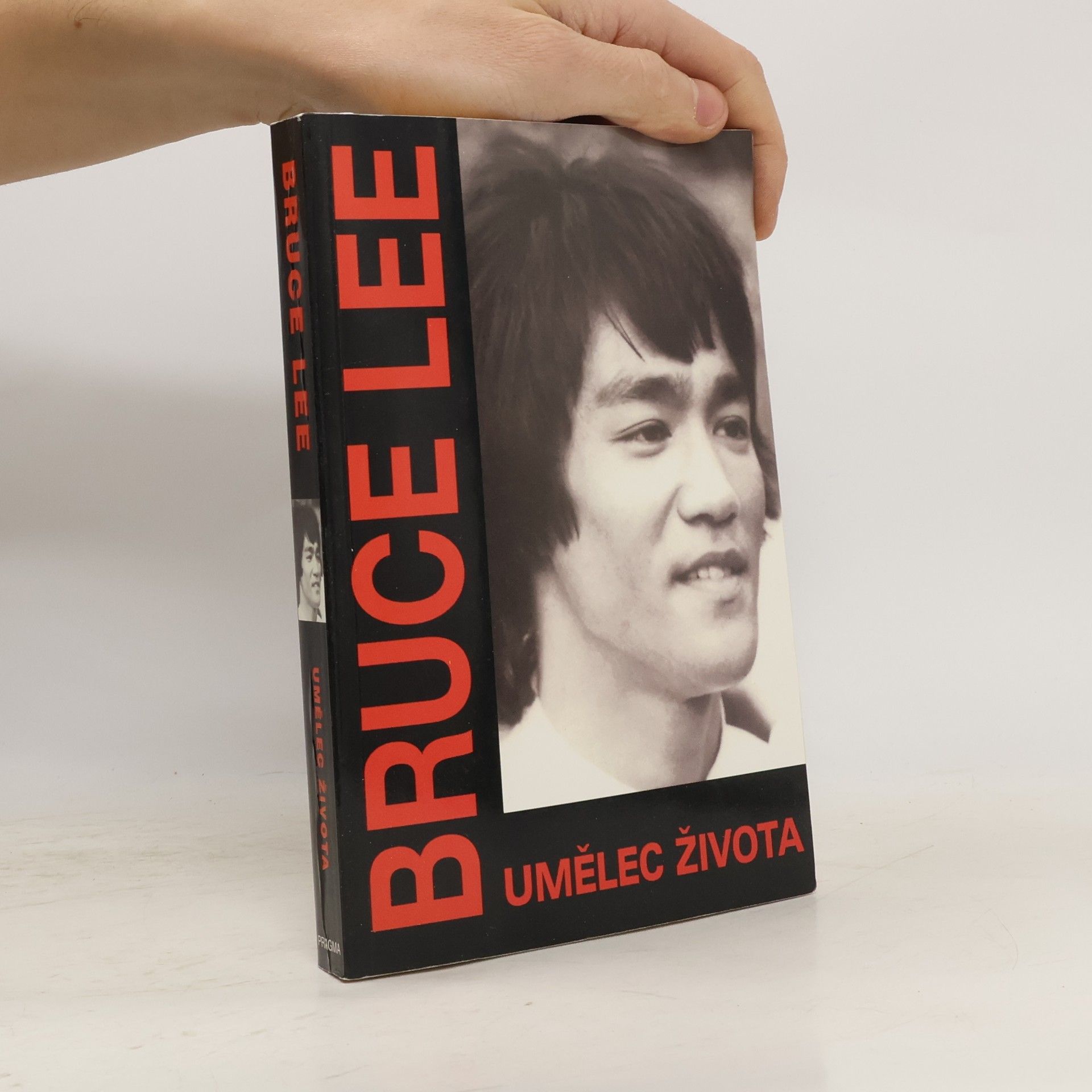 Bruce Lee, umělec života