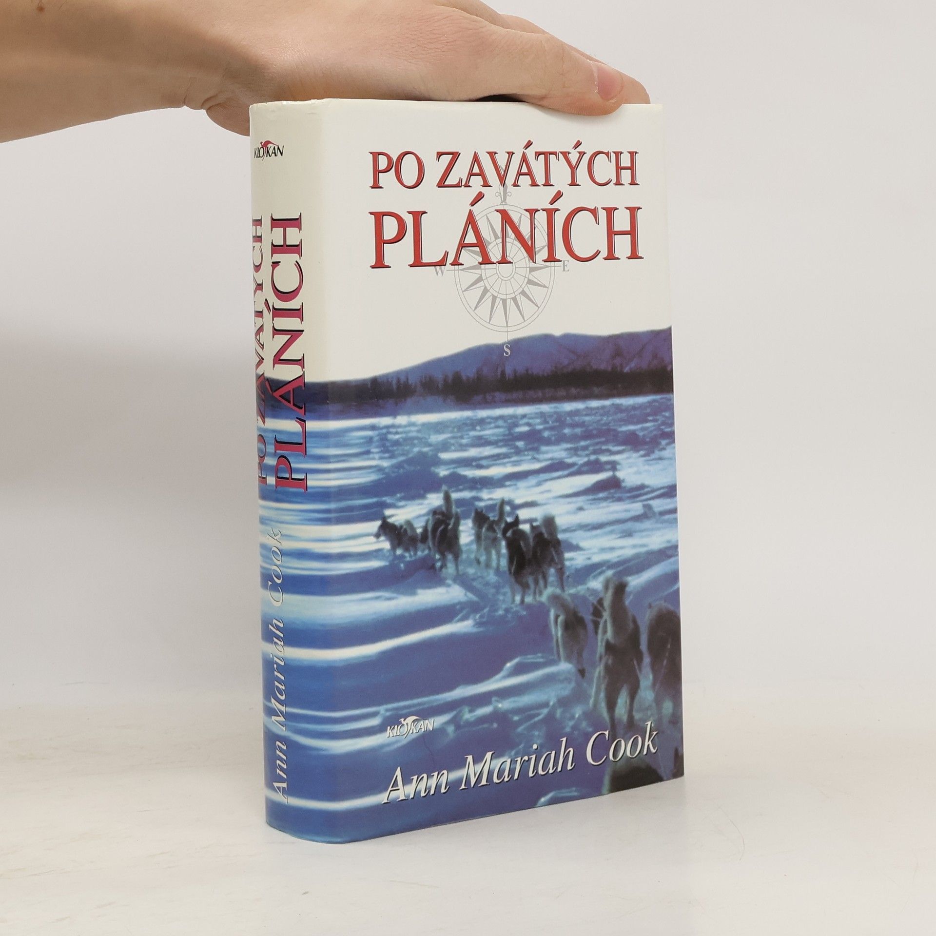 Ann Mariah Cook Po zavátých pláních