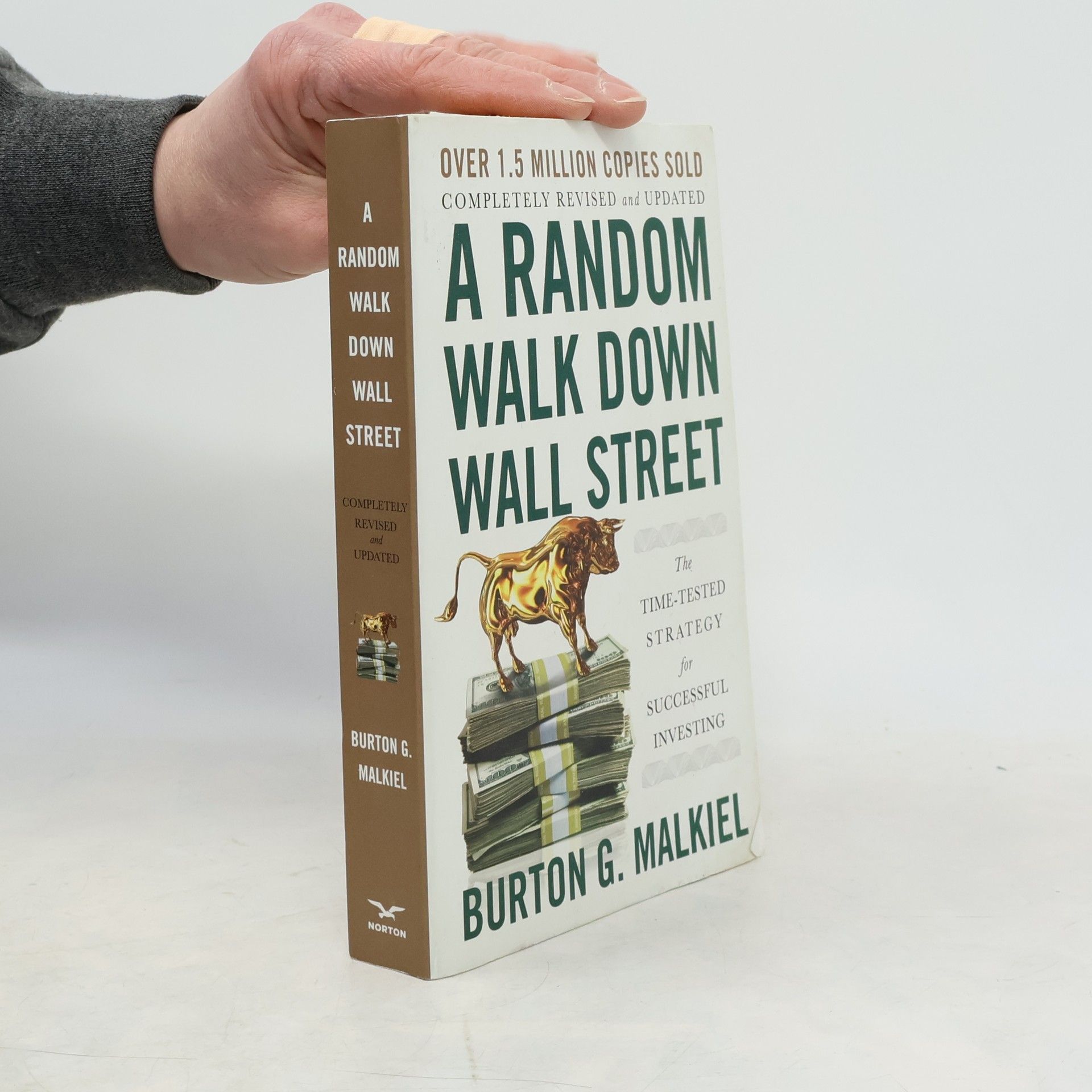 Burton Malkiel A Random Walk Down Wall Street