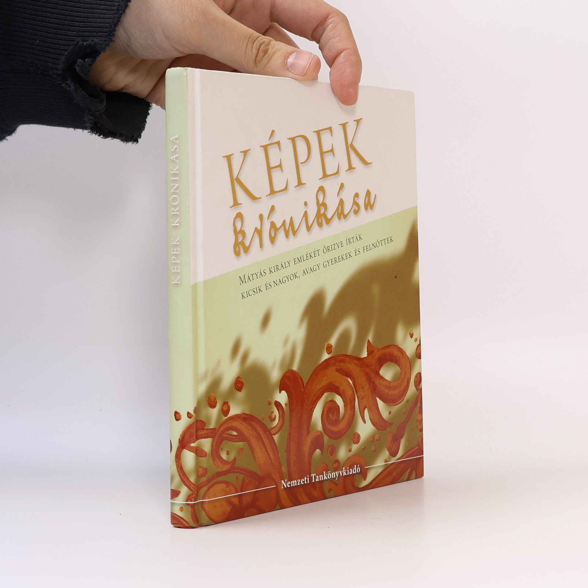 Boldizsárné Kovács Gizella Képek krónikása