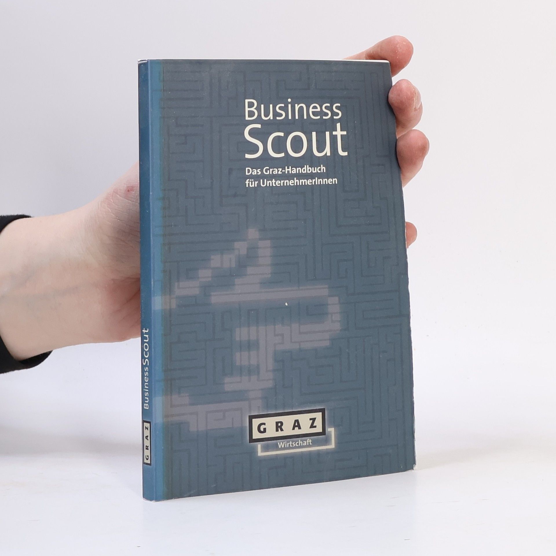 Kolektiv autorů Business Scout