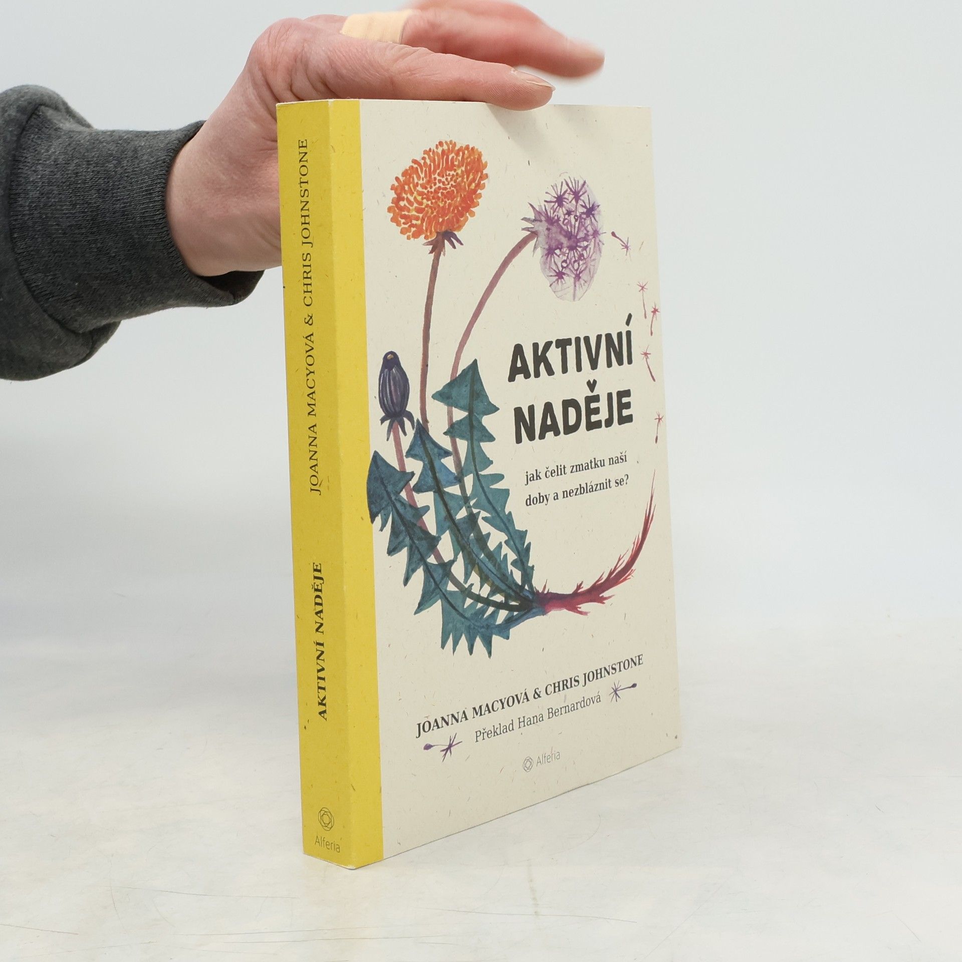 Joanna Macy Aktivní naděje