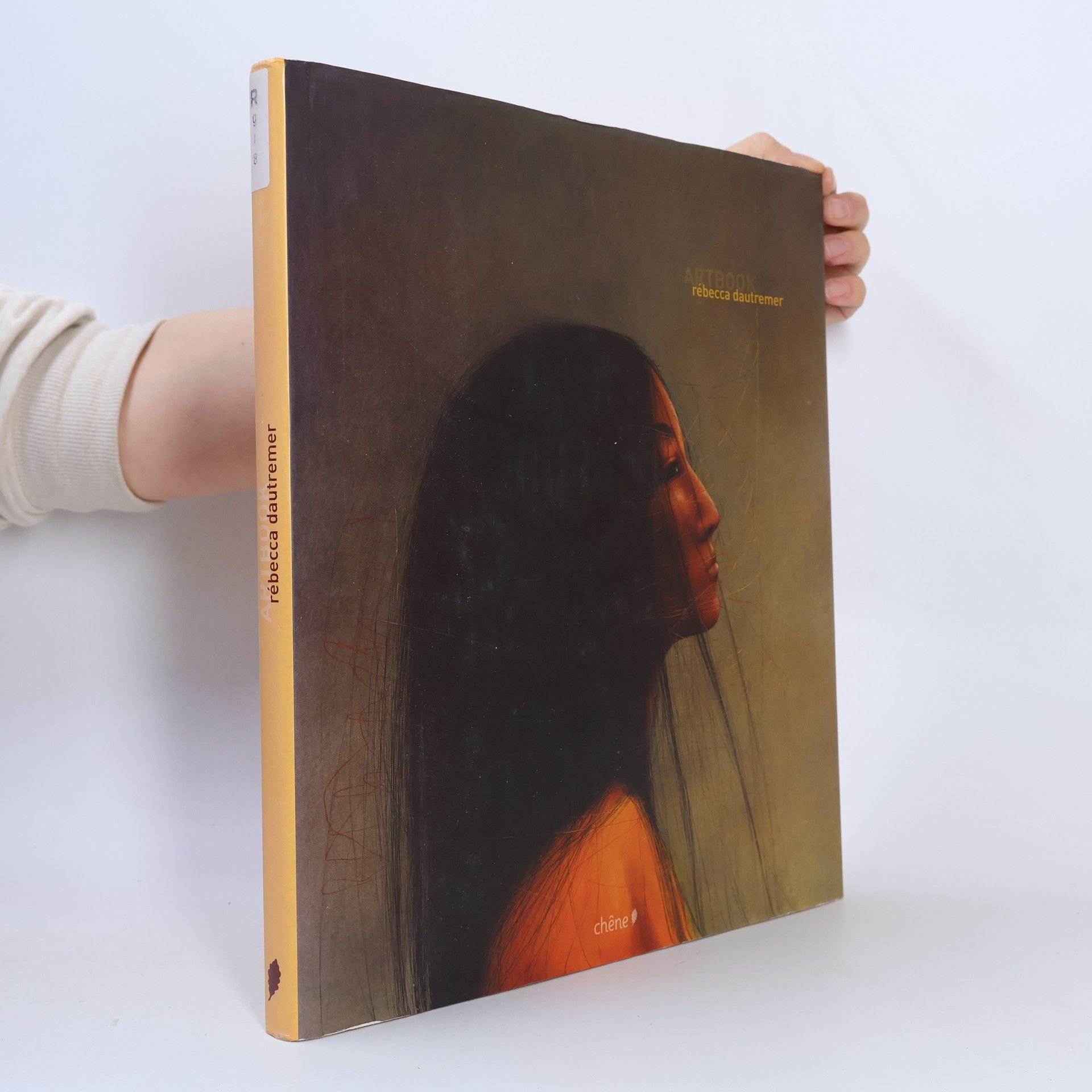 Rébecca Dautremer Artbook