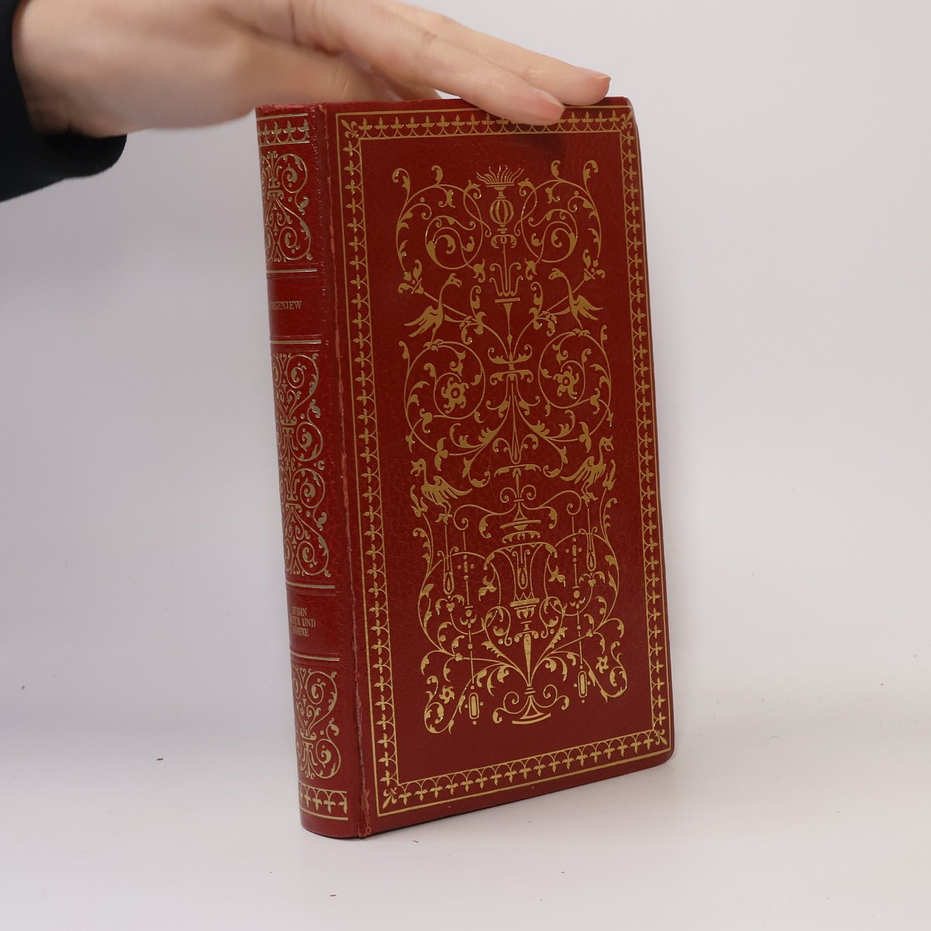 Ivan Sergejevič Turgenev Rudin. Väter und Söhne