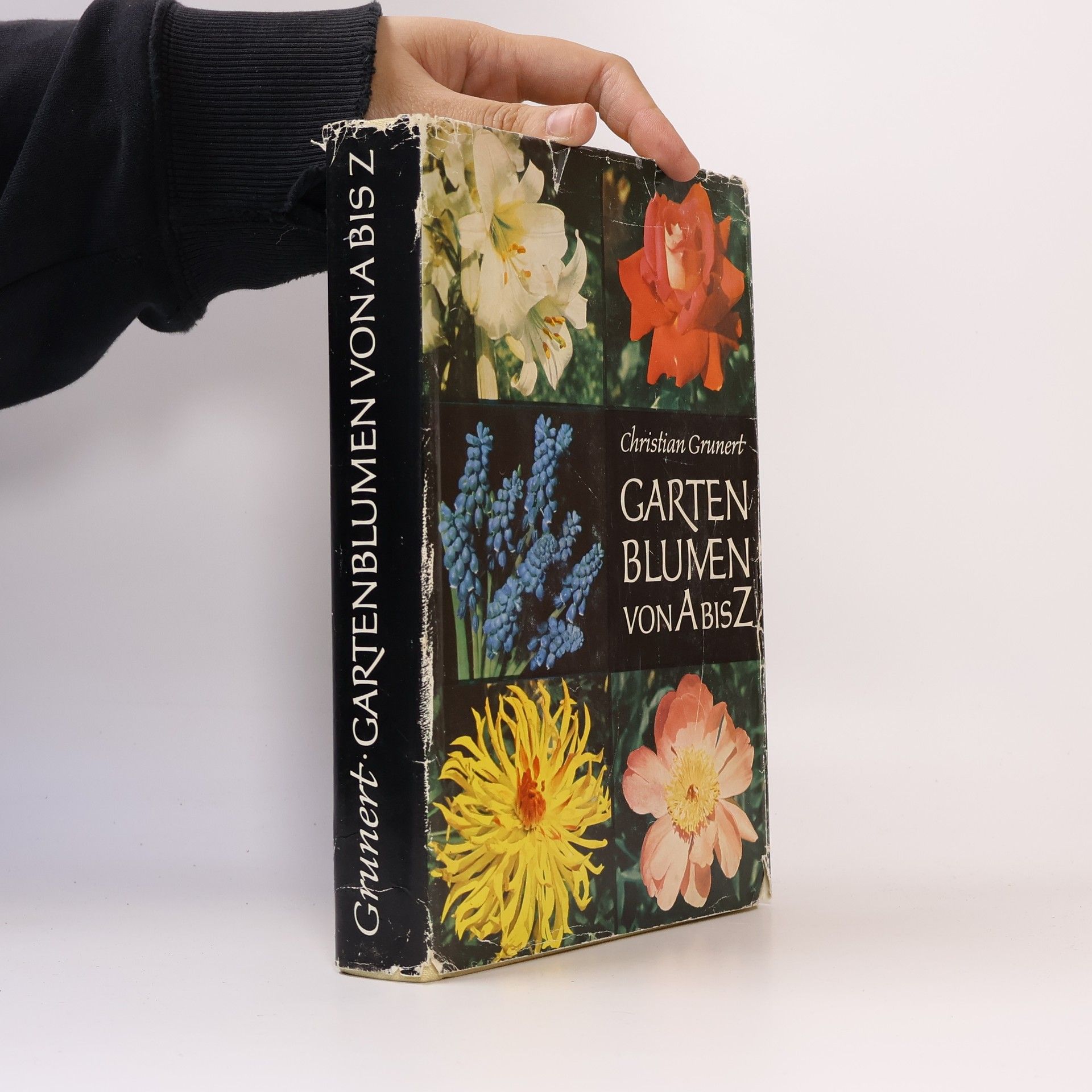 Garten Blumen von A bis Z