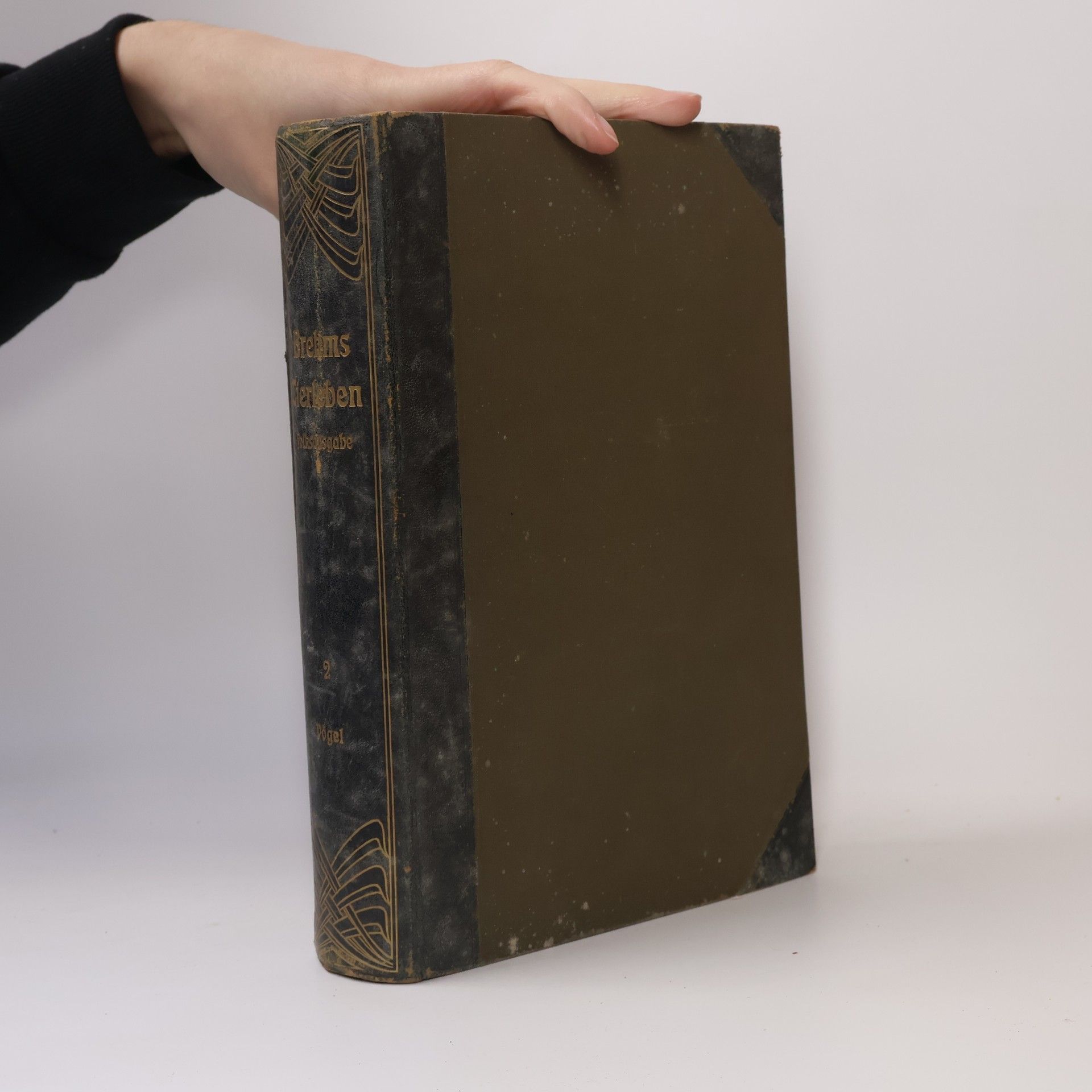 Alfred Edmund Brehm Brehms Tierleben. Vögel 2