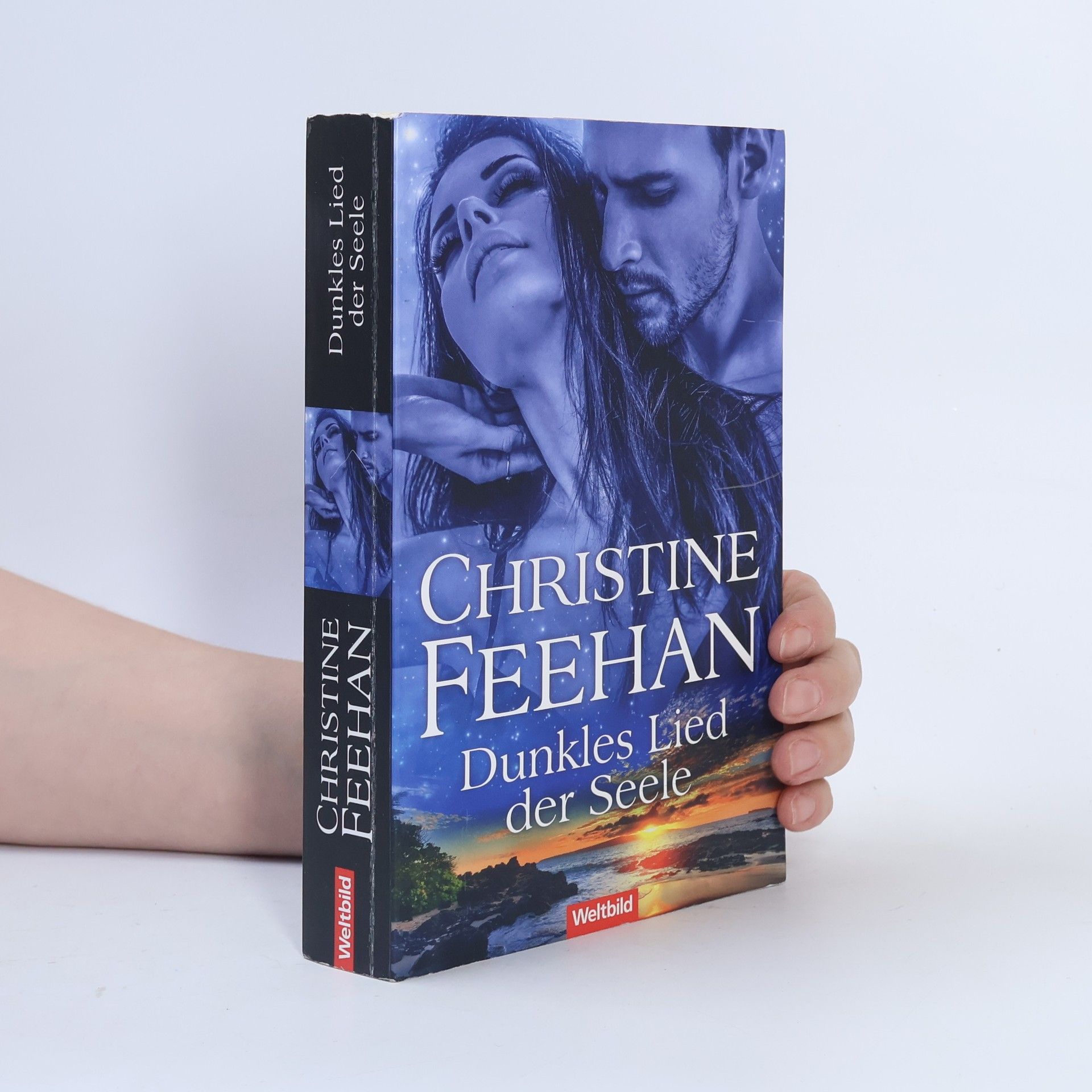 Christine Feehan Dunkles Lied der Seele