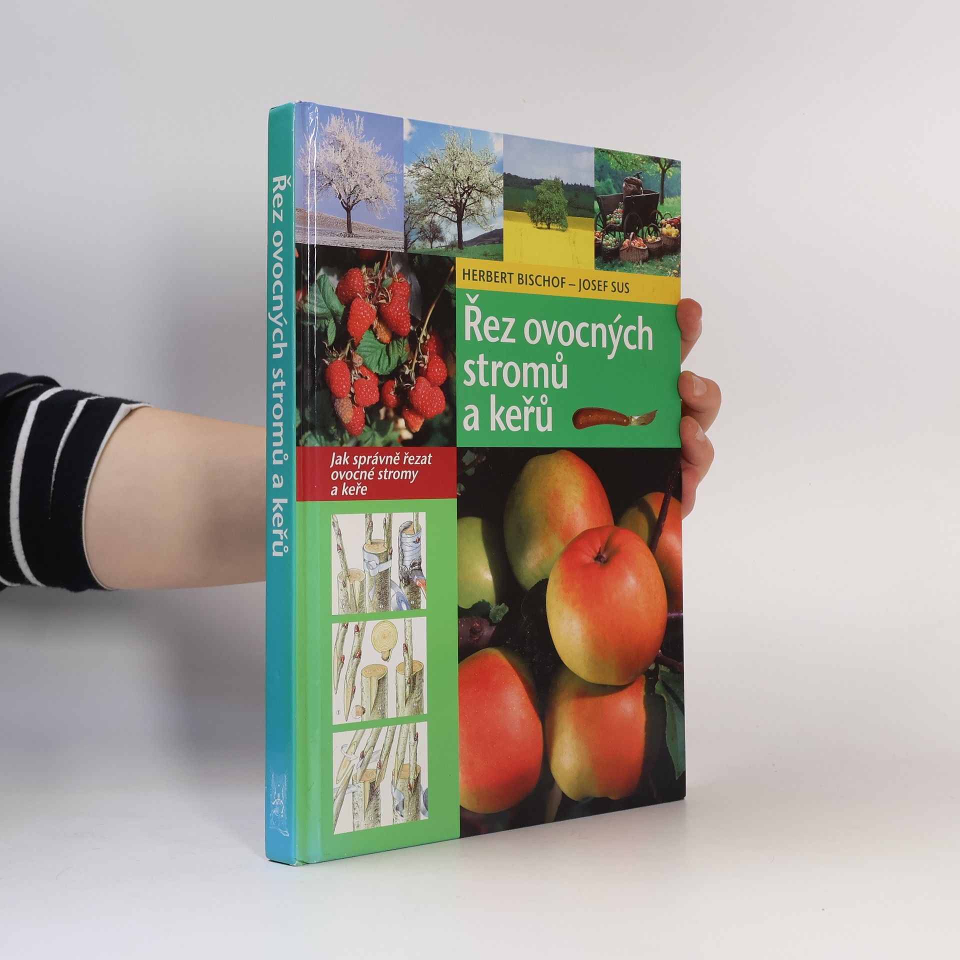 Herbert Bischof Řez ovocných stromů a keřů