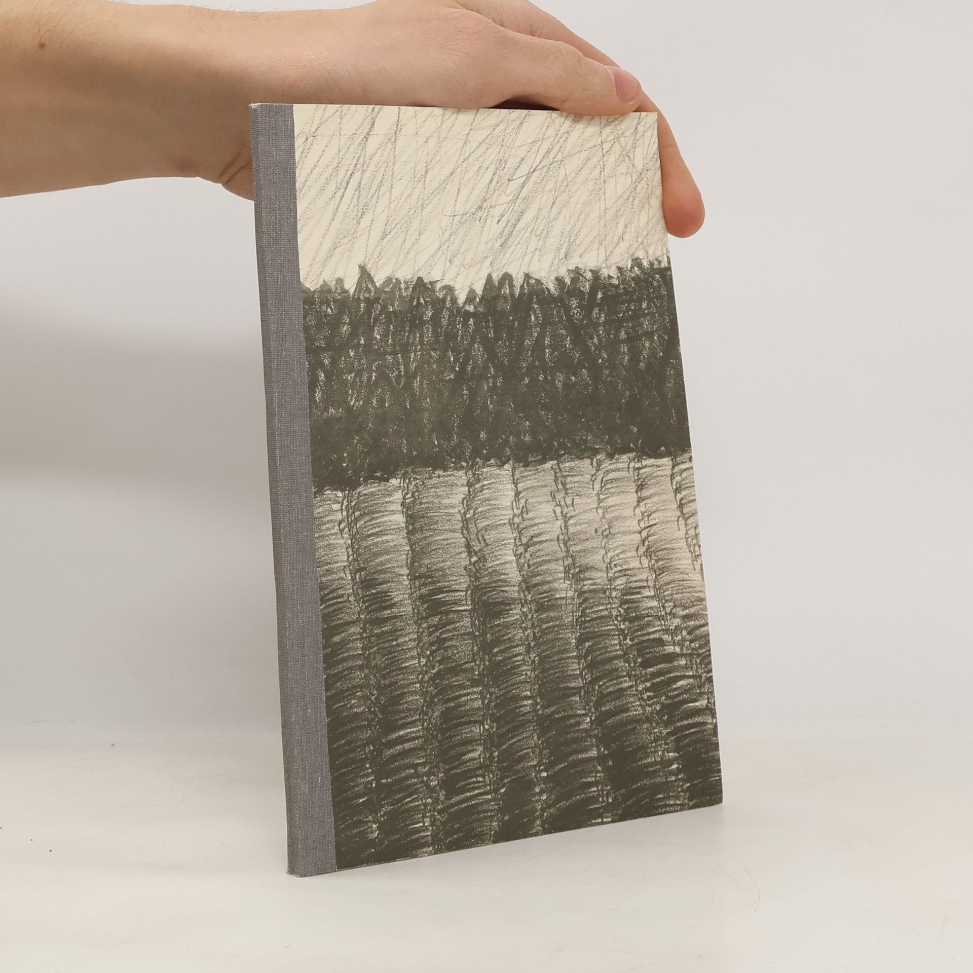 Petr Musílek Medaile za vytrvalost