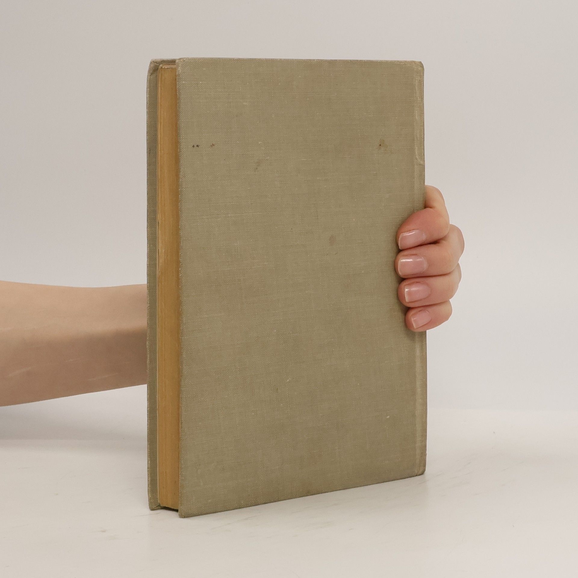 Erich Maria Remarque Vítězný oblouk