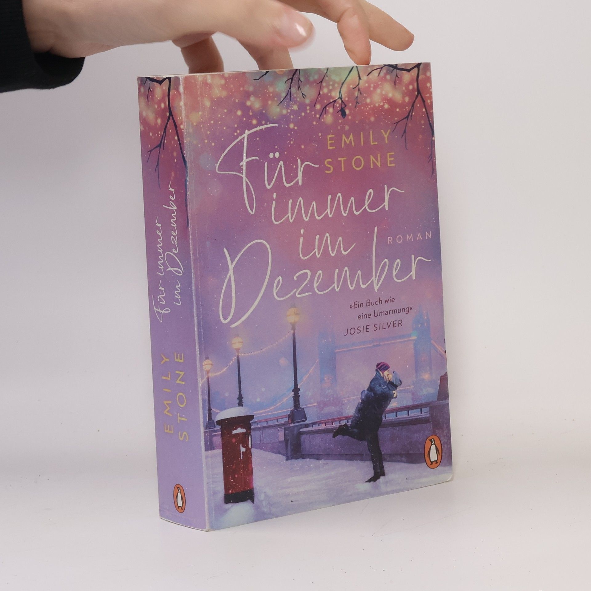 Stone Emily Für immer im Dezember
