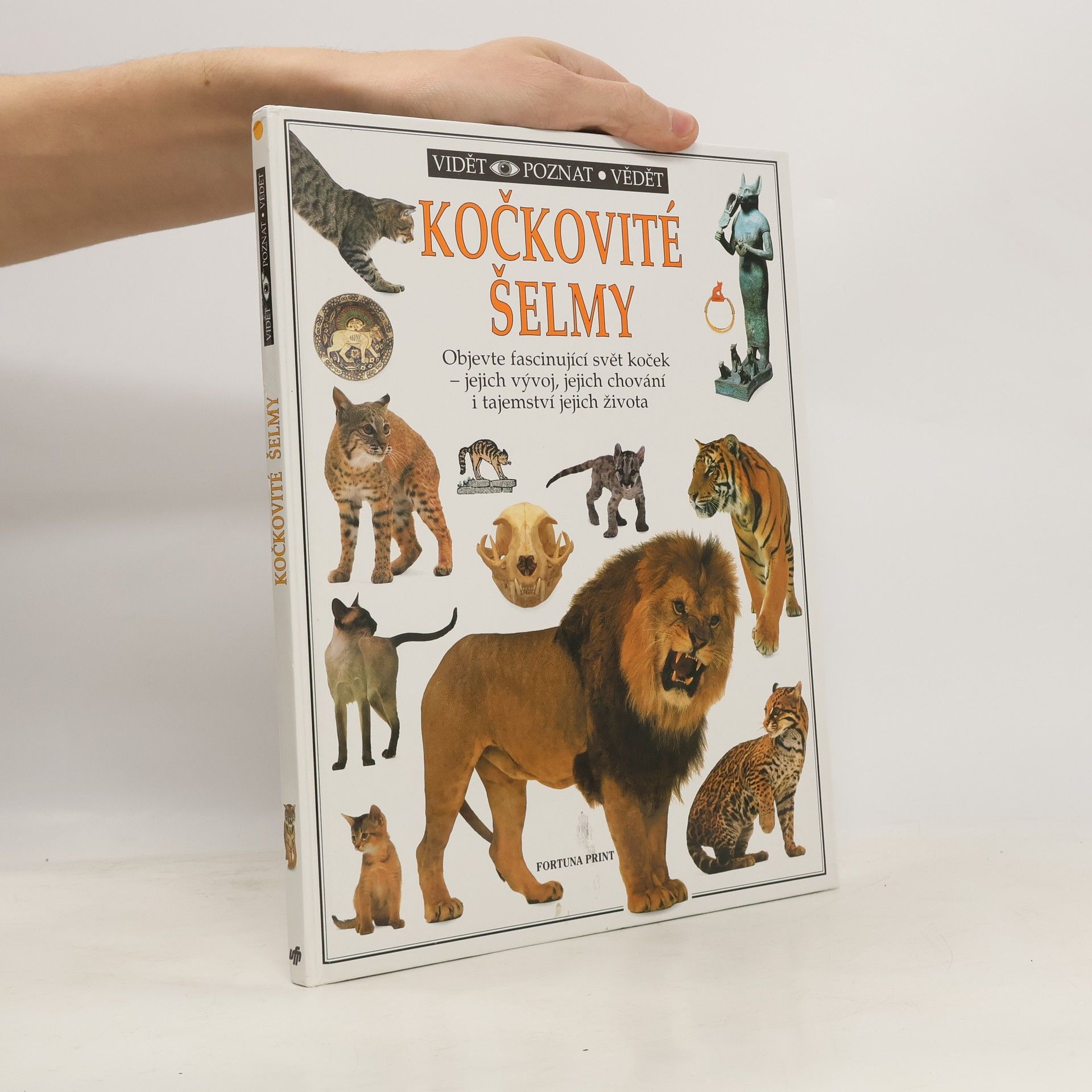 Juliet Clutton-Brock Kočkovité šelmy