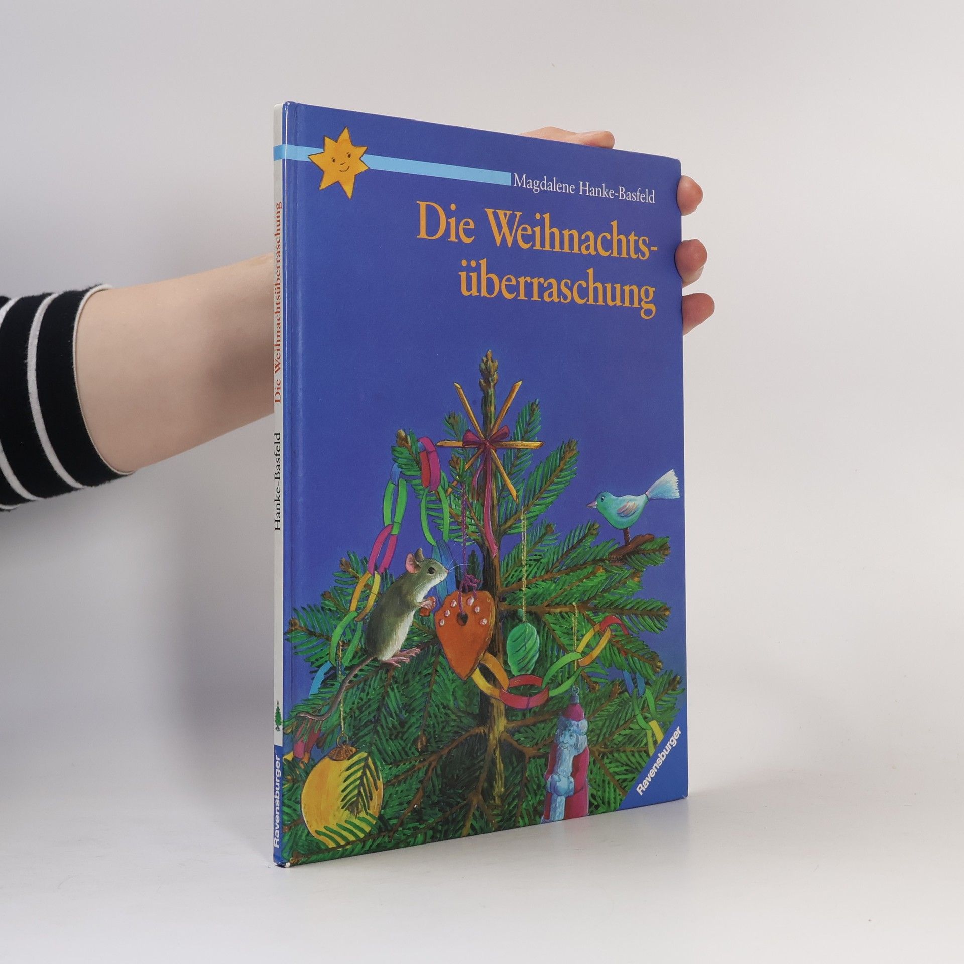 Magdalene Hanke-Basfeld Die Weihnachtsüberraschung