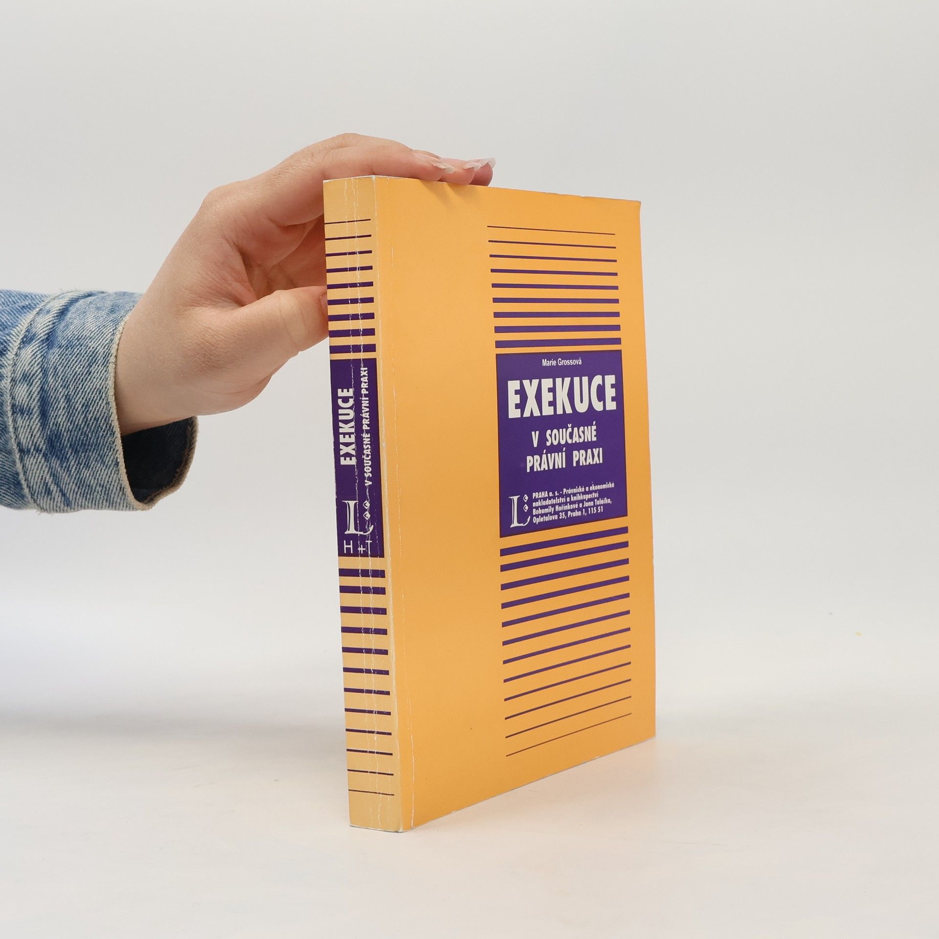 Exekuce v současné právní praxi