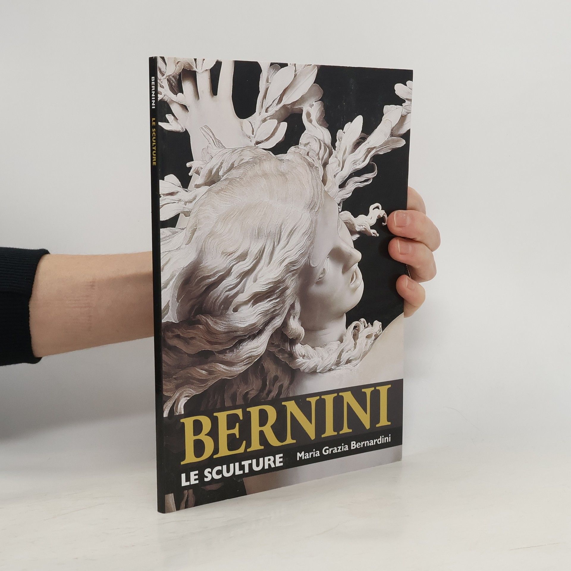 Maria Grazia Bernardini Bernini. Le sculture