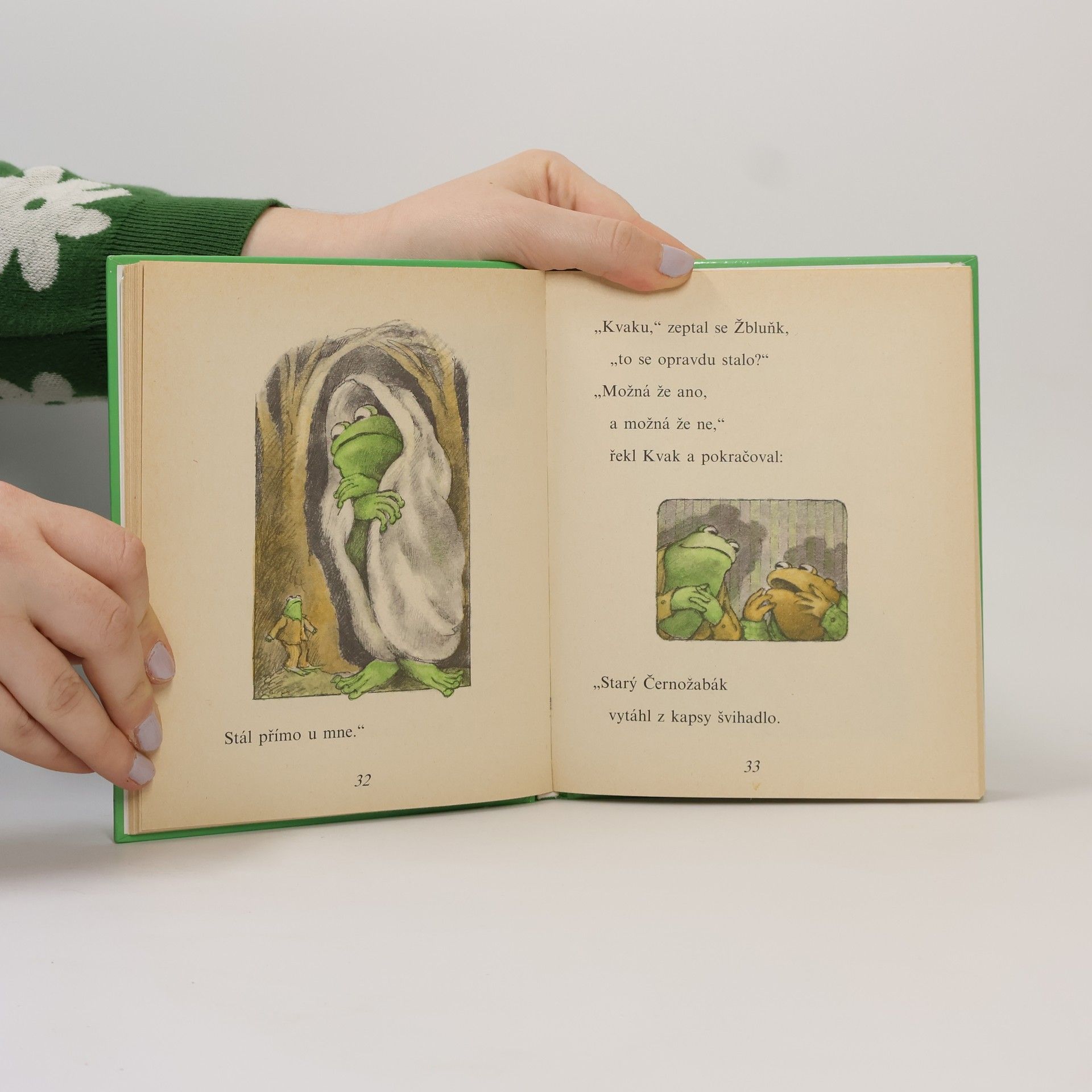 Arnold Lobel Kvak a Žbluňk se bojí rádi