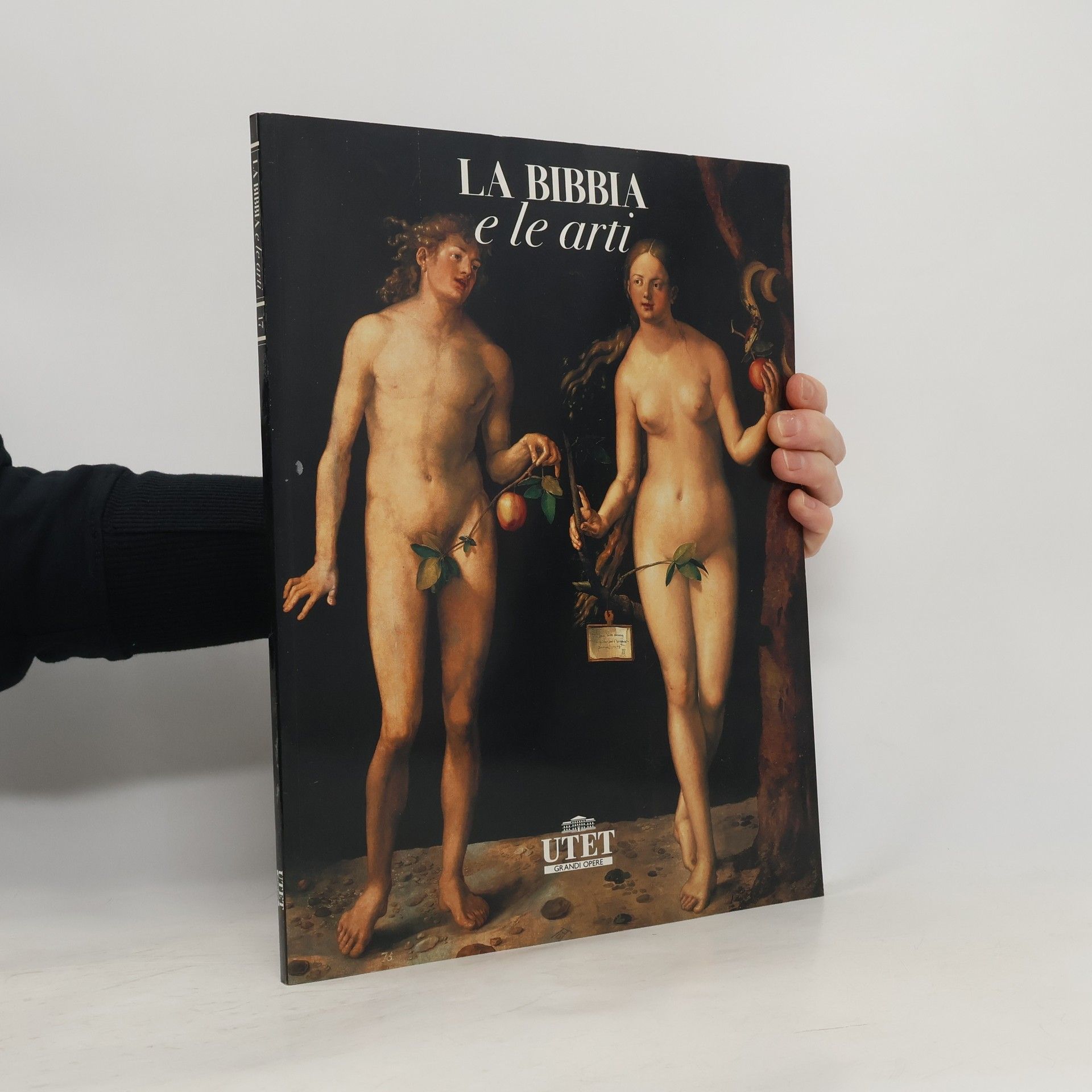 Autores varios La Bibbia e le arti