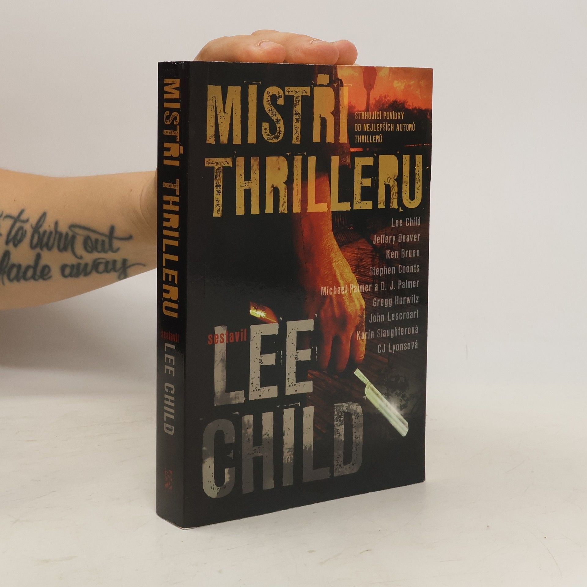 Lee Child Mistři thrilleru: Strhující povídky od nejlepších autorů thrillerů