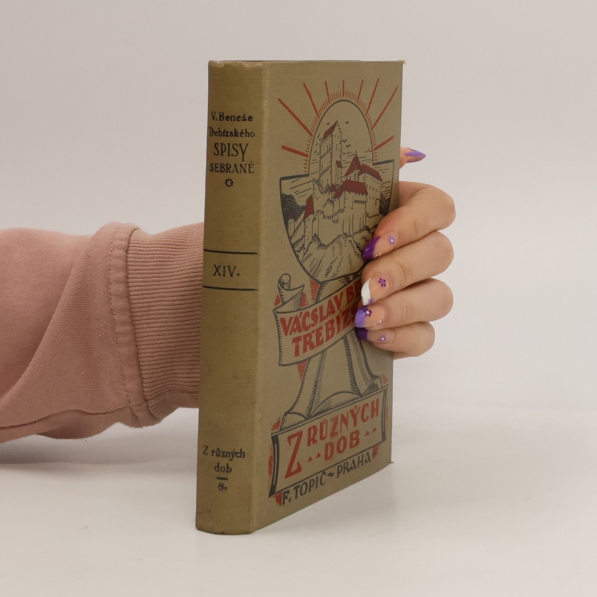 Václav Beneš Třebízský Z různých dob 8
