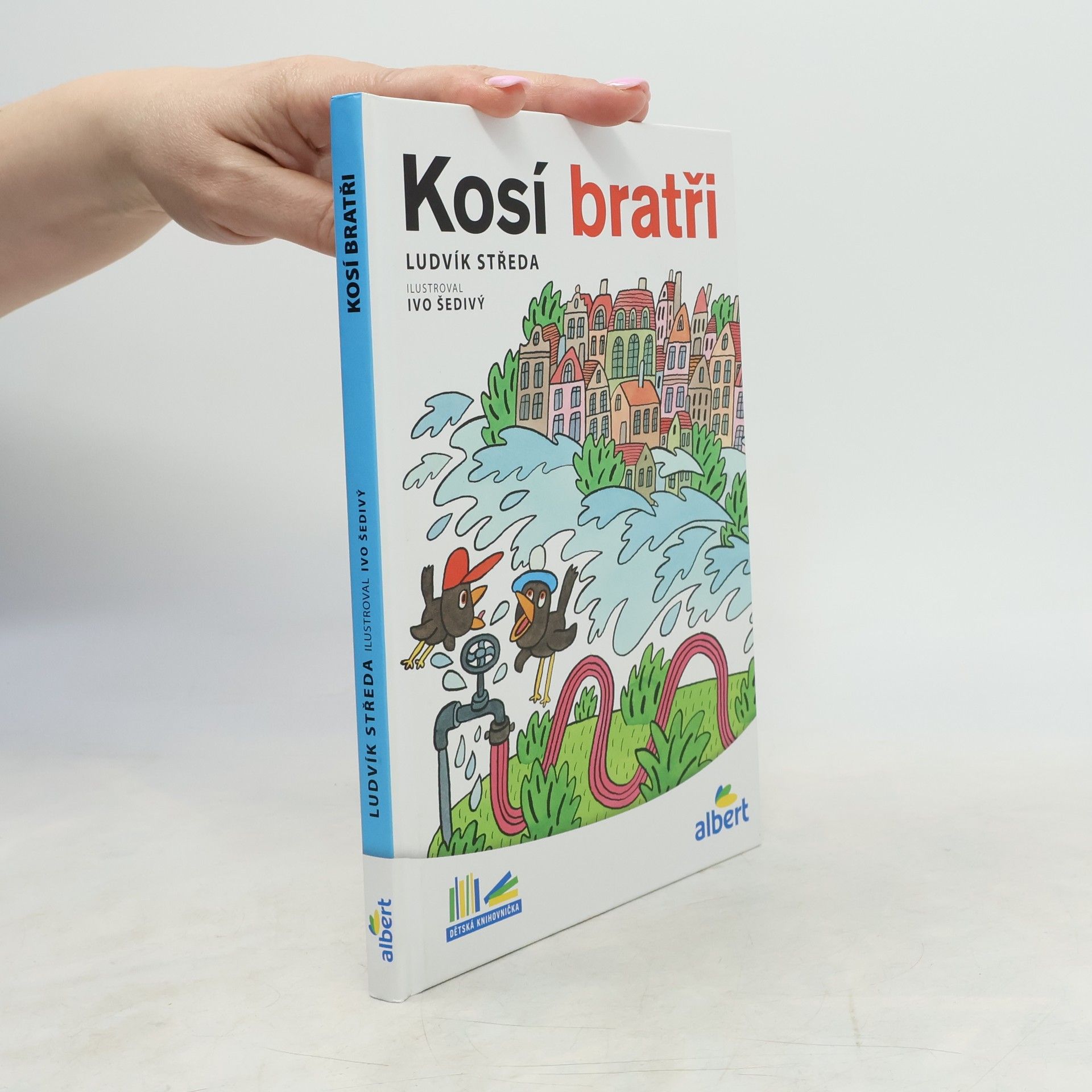 Ludvík Středa Kosí bratři