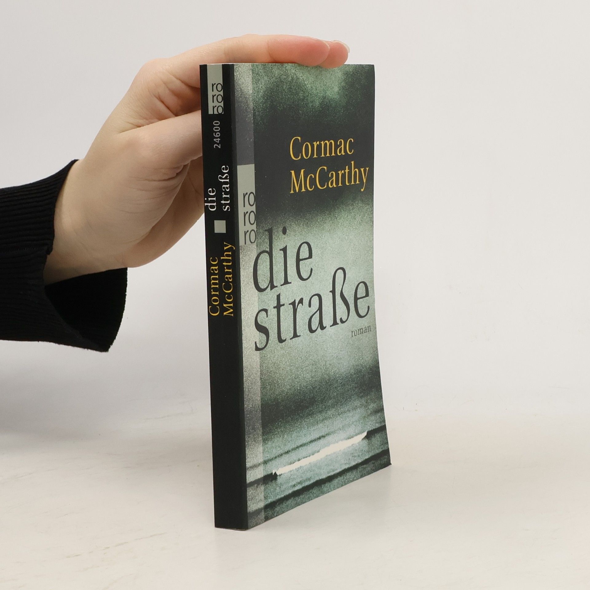 Cormac McCarthy Die Straße